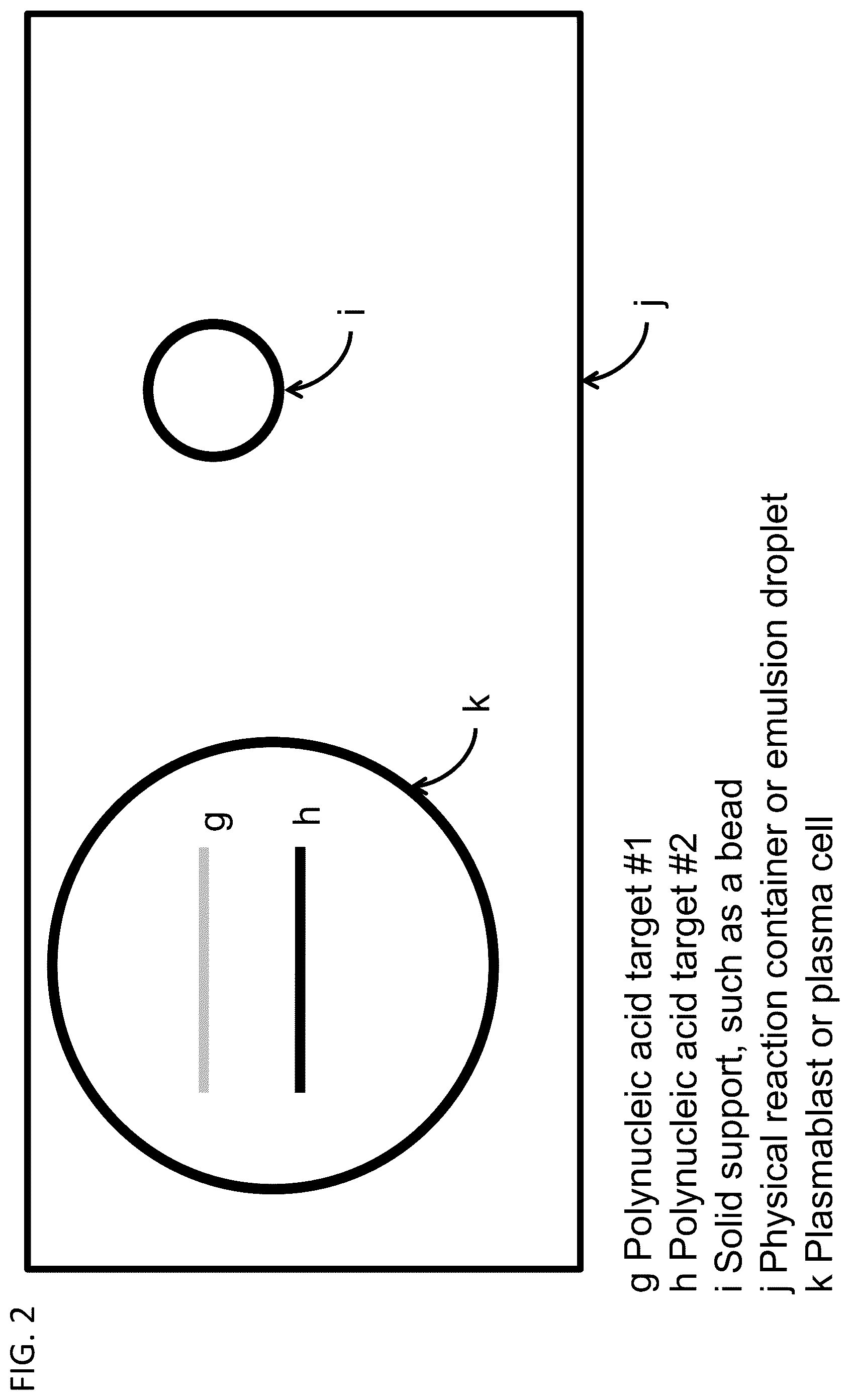 Patent US12590386 Figure 2 – Recombinant polyclonal proteins and methods of use thereof