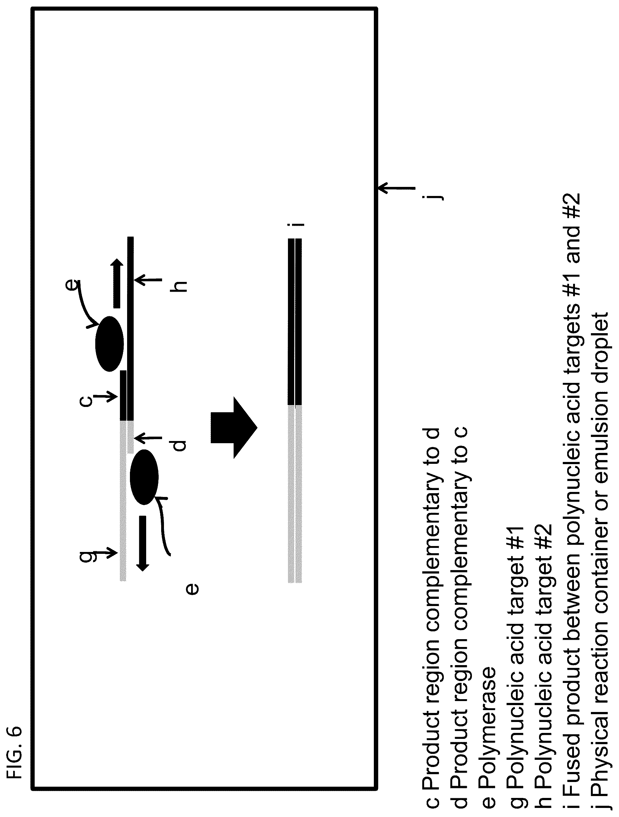 Patent US12590386 Figure 6 – Recombinant polyclonal proteins and methods of use thereof