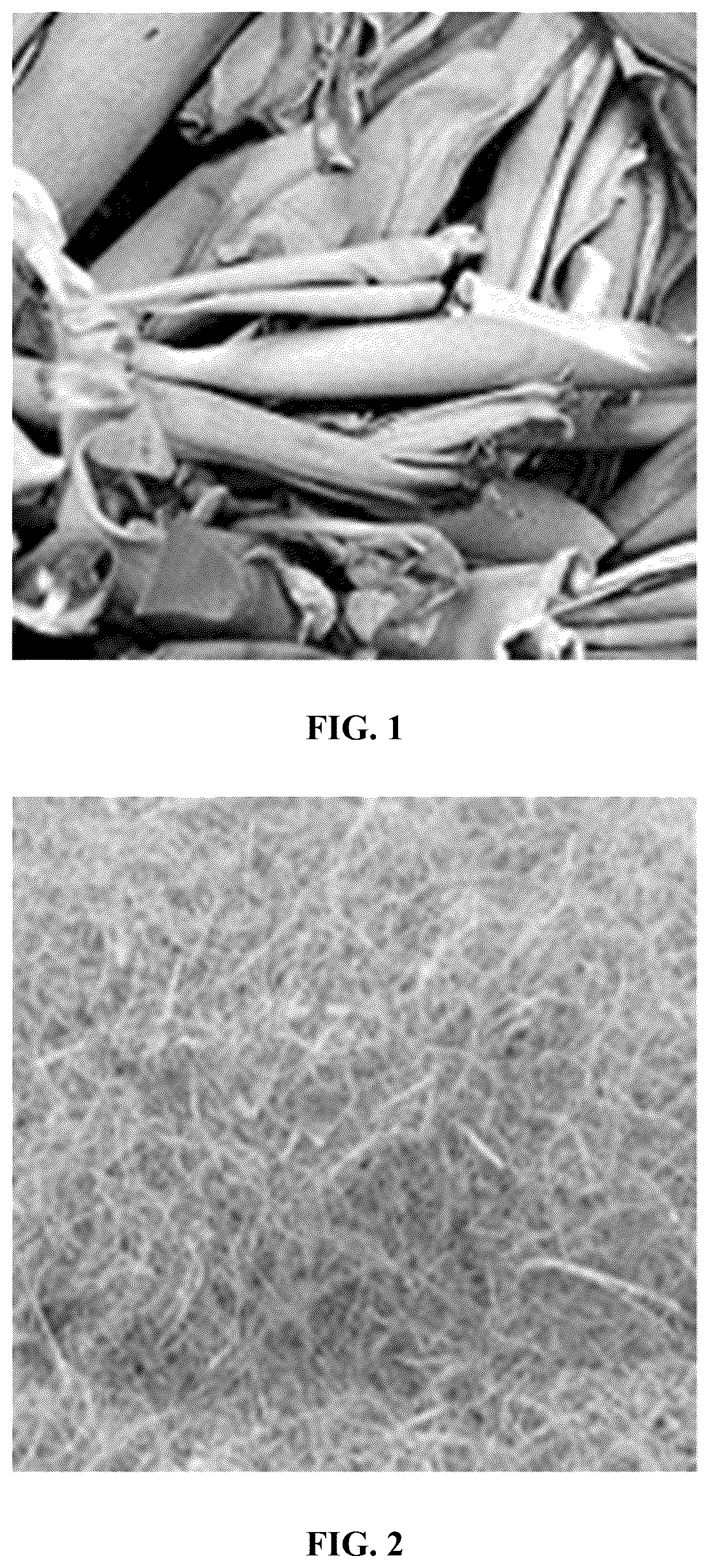 Patent US12590411 Figure 1 – Paper pulp, a method for producing paper pulp, and paper pulp products