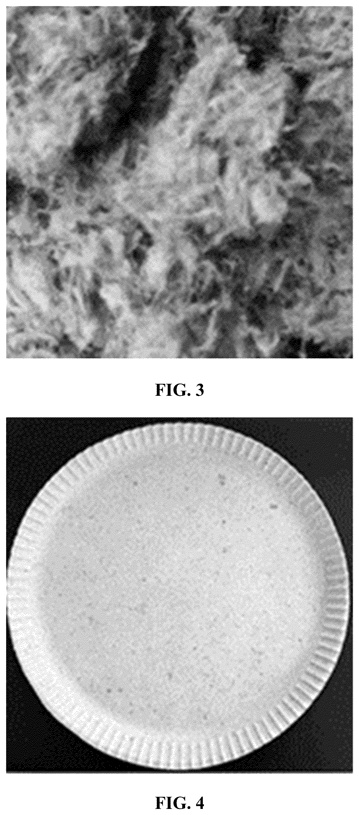 Patent US12590411 Figure 2 – Paper pulp, a method for producing paper pulp, and paper pulp products
