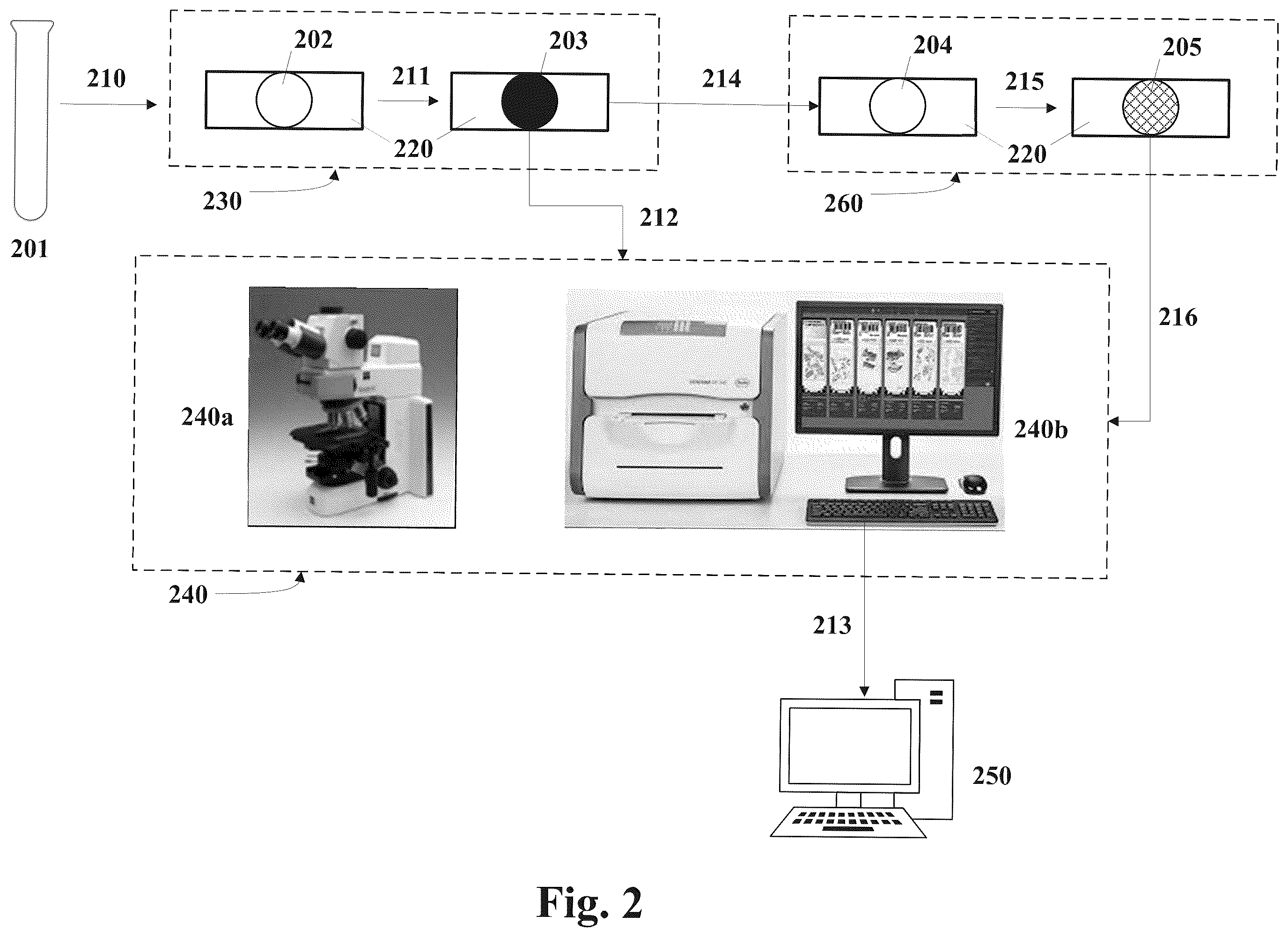 Patent US12590871 Figure 2 – Methods and systems for preparing and analyzing cellular samples for morphological characteristics and biomarker expression