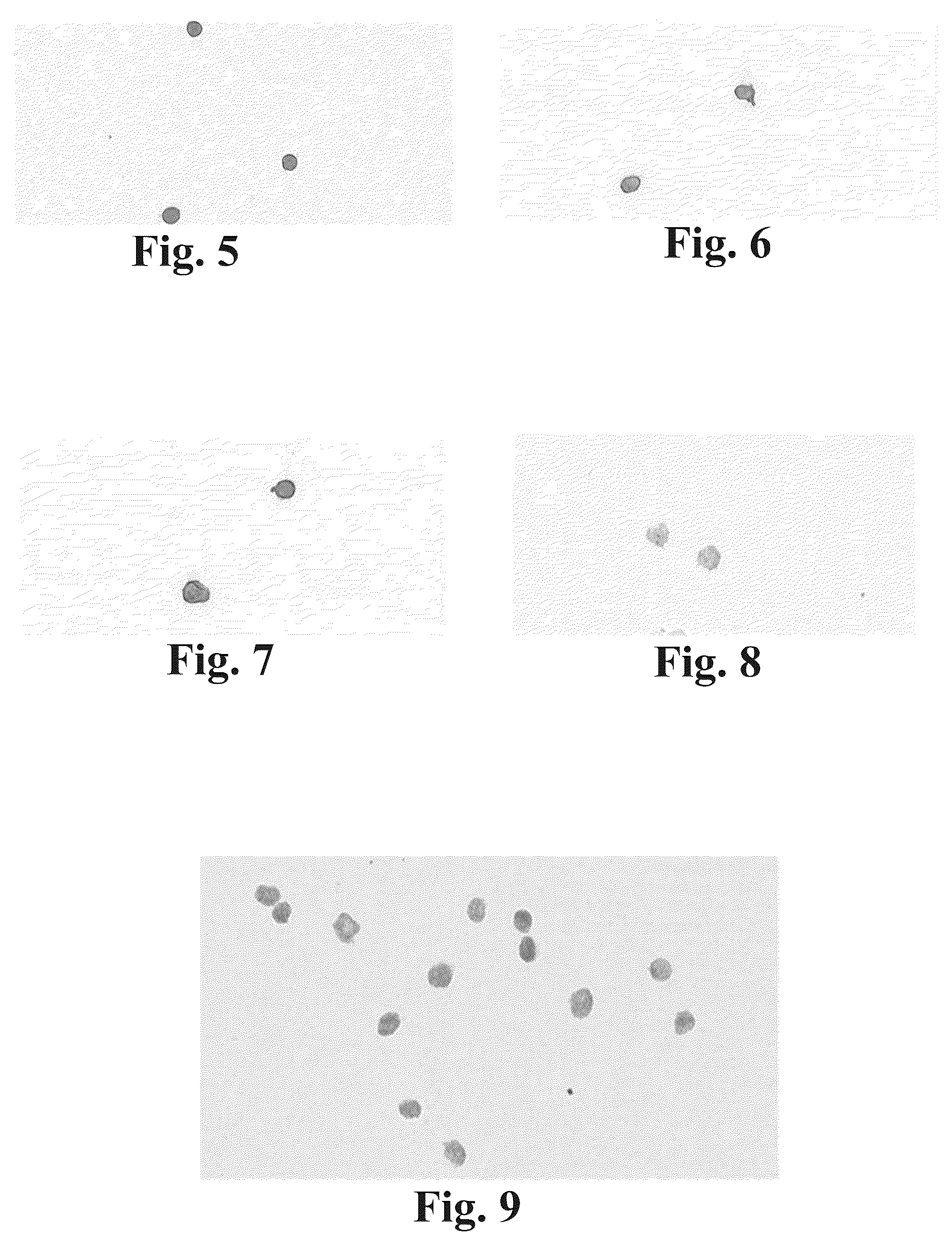 Patent US12590871 Figure 6 – Methods and systems for preparing and analyzing cellular samples for morphological characteristics and biomarker expression
