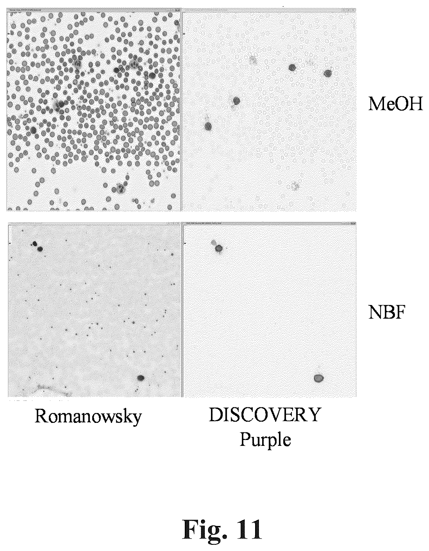 Patent US12590871 Figure 8 – Methods and systems for preparing and analyzing cellular samples for morphological characteristics and biomarker expression