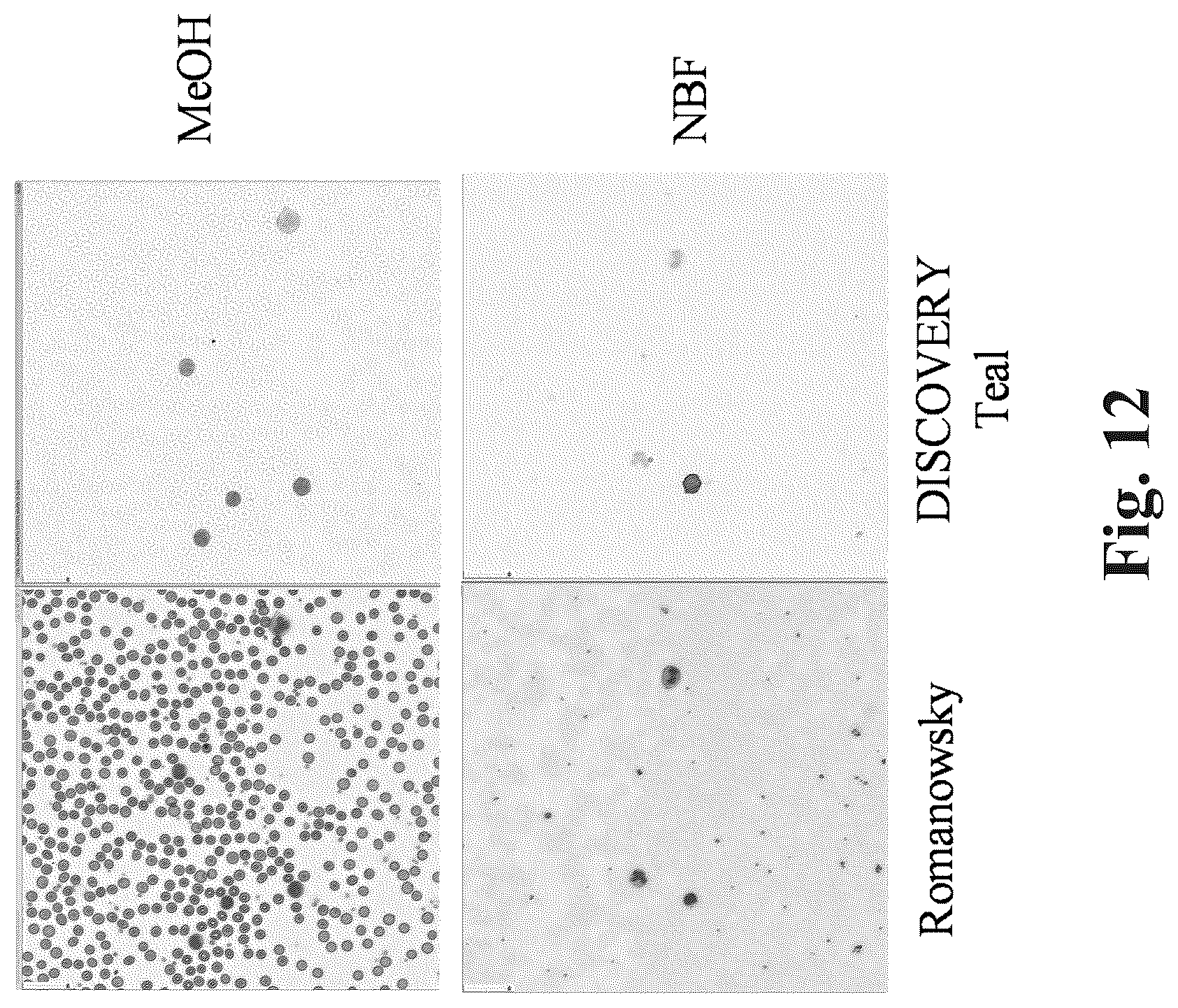 Patent US12590871 Figure 9 – Methods and systems for preparing and analyzing cellular samples for morphological characteristics and biomarker expression