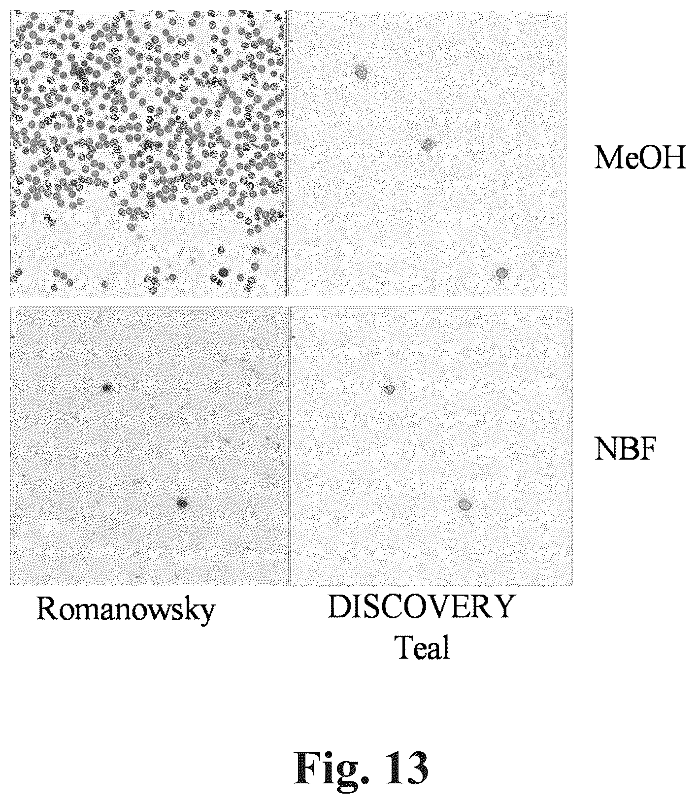 Patent US12590871 Figure 10 – Methods and systems for preparing and analyzing cellular samples for morphological characteristics and biomarker expression