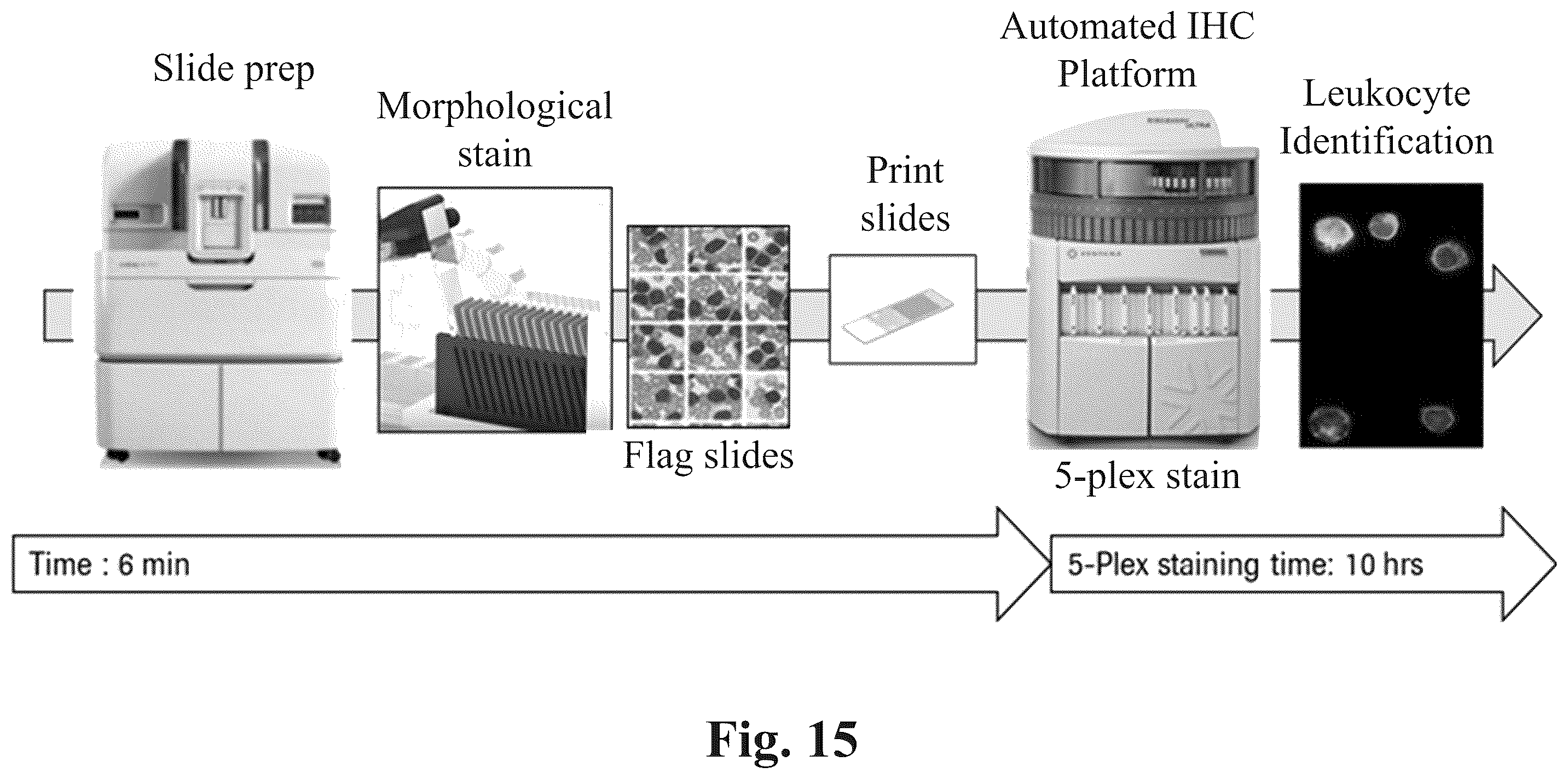 Patent US12590871 Figure 12 – Methods and systems for preparing and analyzing cellular samples for morphological characteristics and biomarker expression