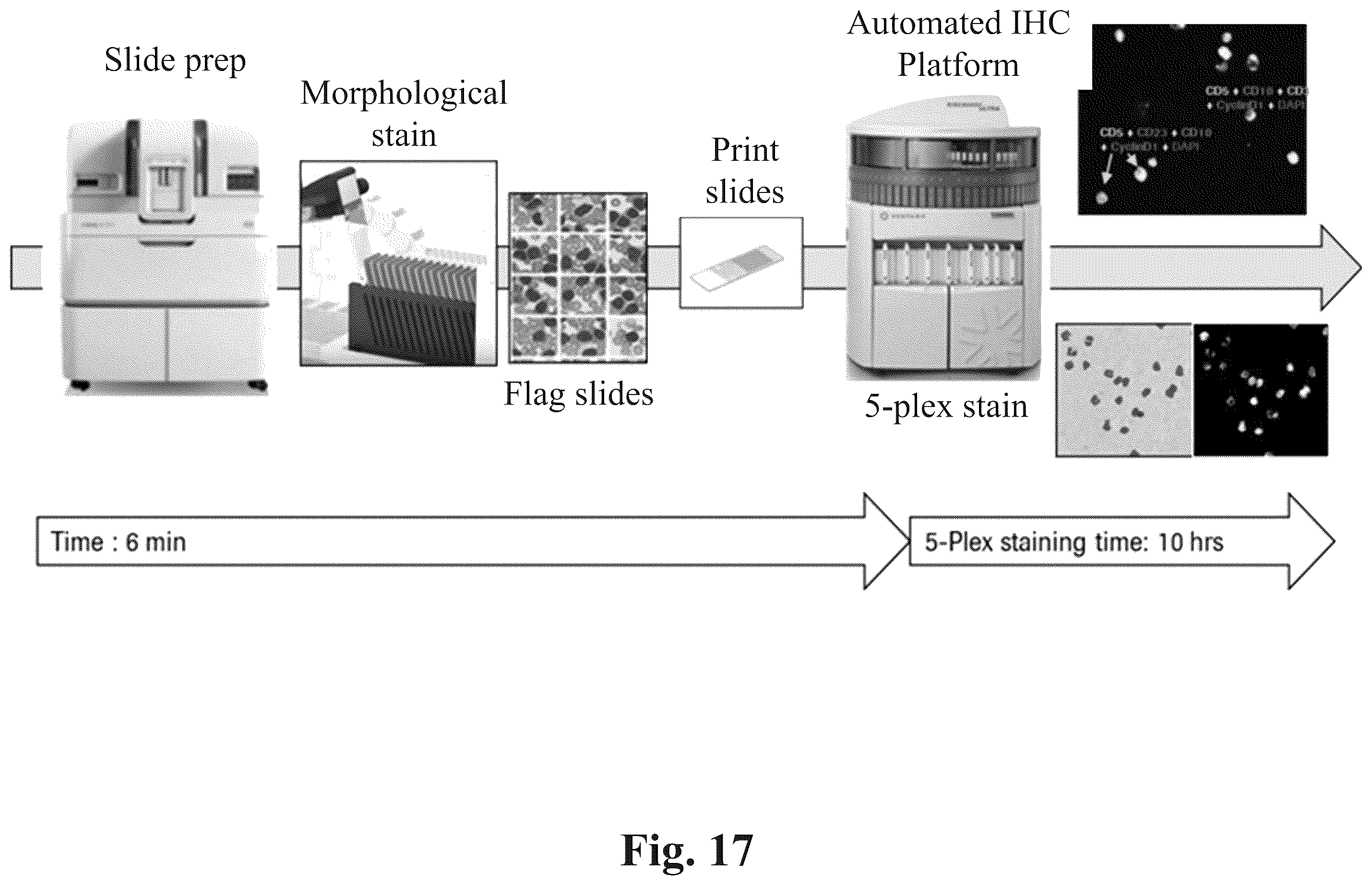 Patent US12590871 Figure 14 – Methods and systems for preparing and analyzing cellular samples for morphological characteristics and biomarker expression