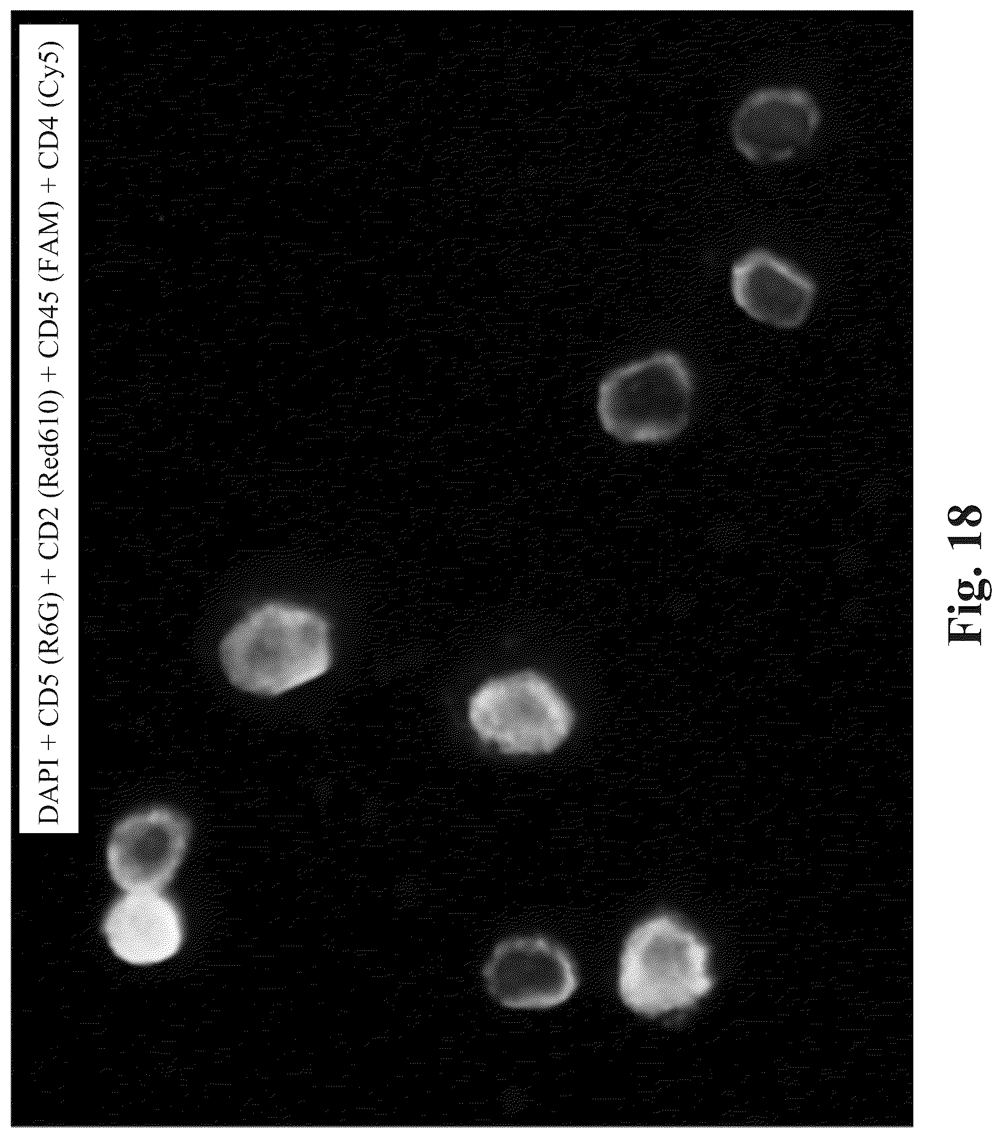 Patent US12590871 Figure 15 – Methods and systems for preparing and analyzing cellular samples for morphological characteristics and biomarker expression