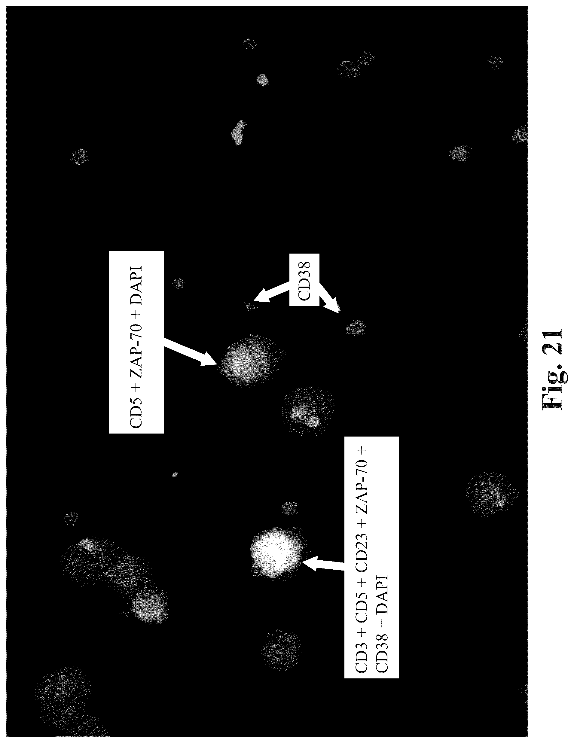 Patent US12590871 Figure 18 – Methods and systems for preparing and analyzing cellular samples for morphological characteristics and biomarker expression