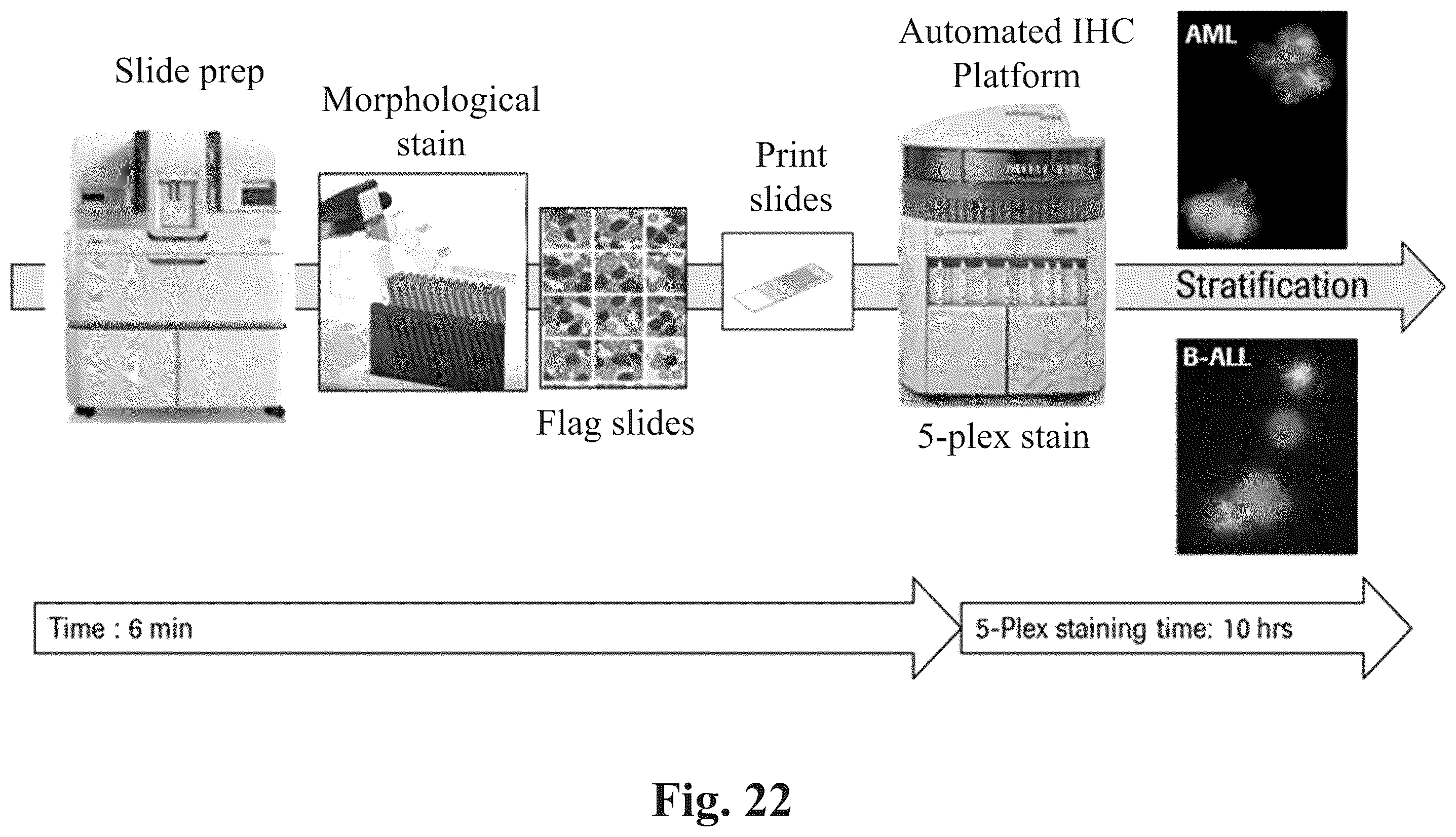 Patent US12590871 Figure 19 – Methods and systems for preparing and analyzing cellular samples for morphological characteristics and biomarker expression