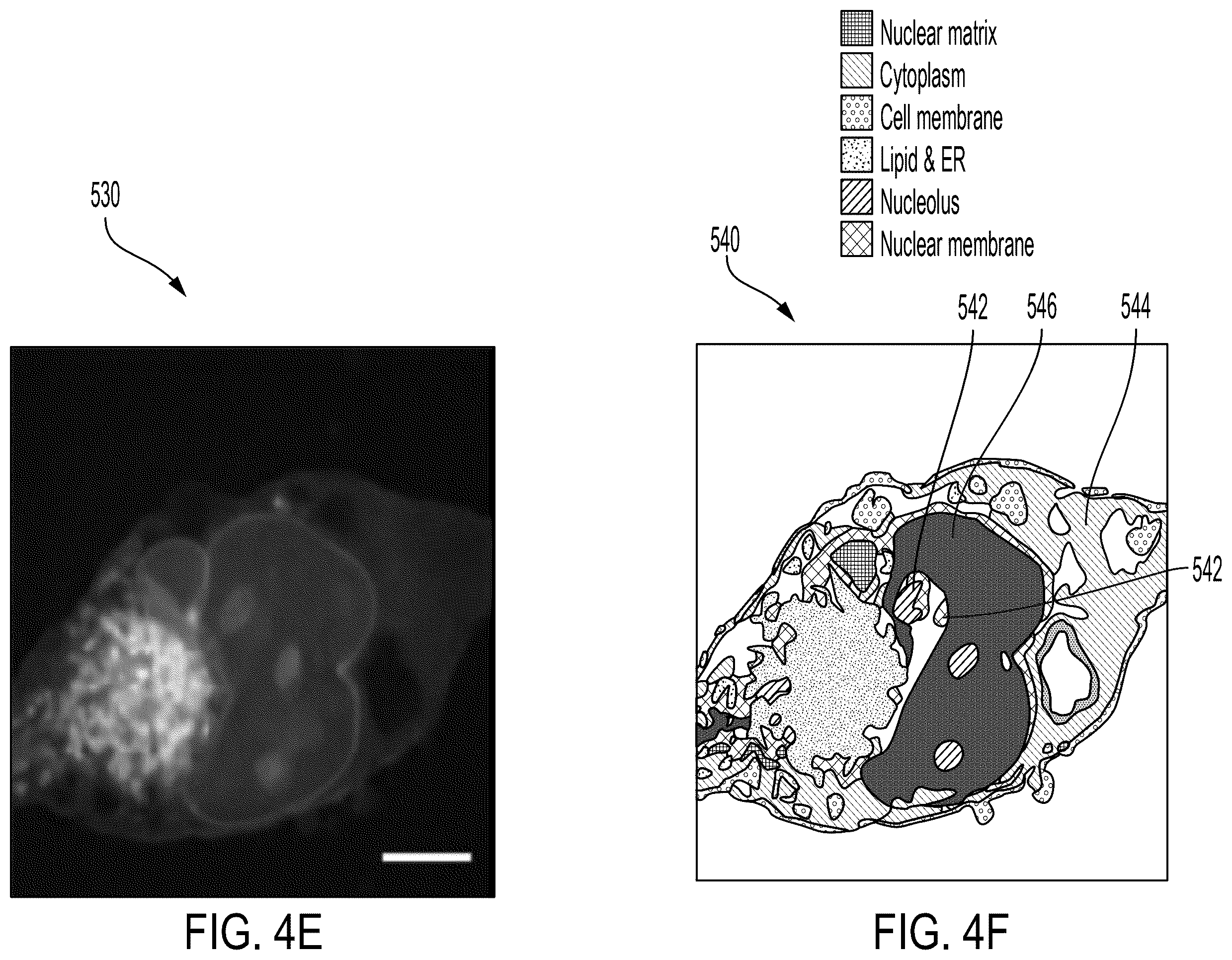 Patent US12590885 Figure 12 – Stimulated Raman photothermal microscope with optical parametric amplifier source
