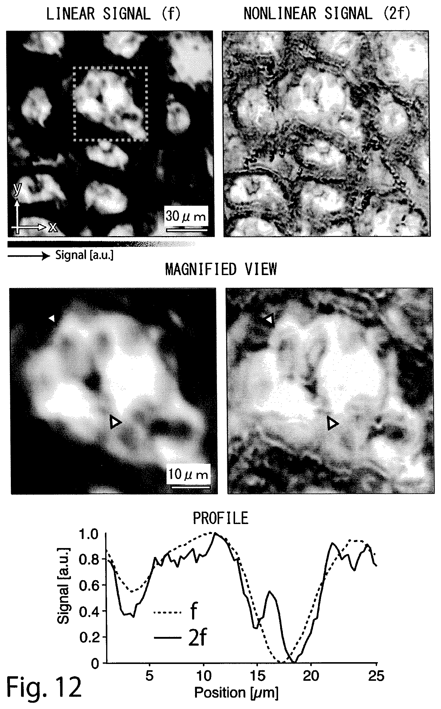 Patent US12590886 Figure 12 – Optical microscope and imaging method