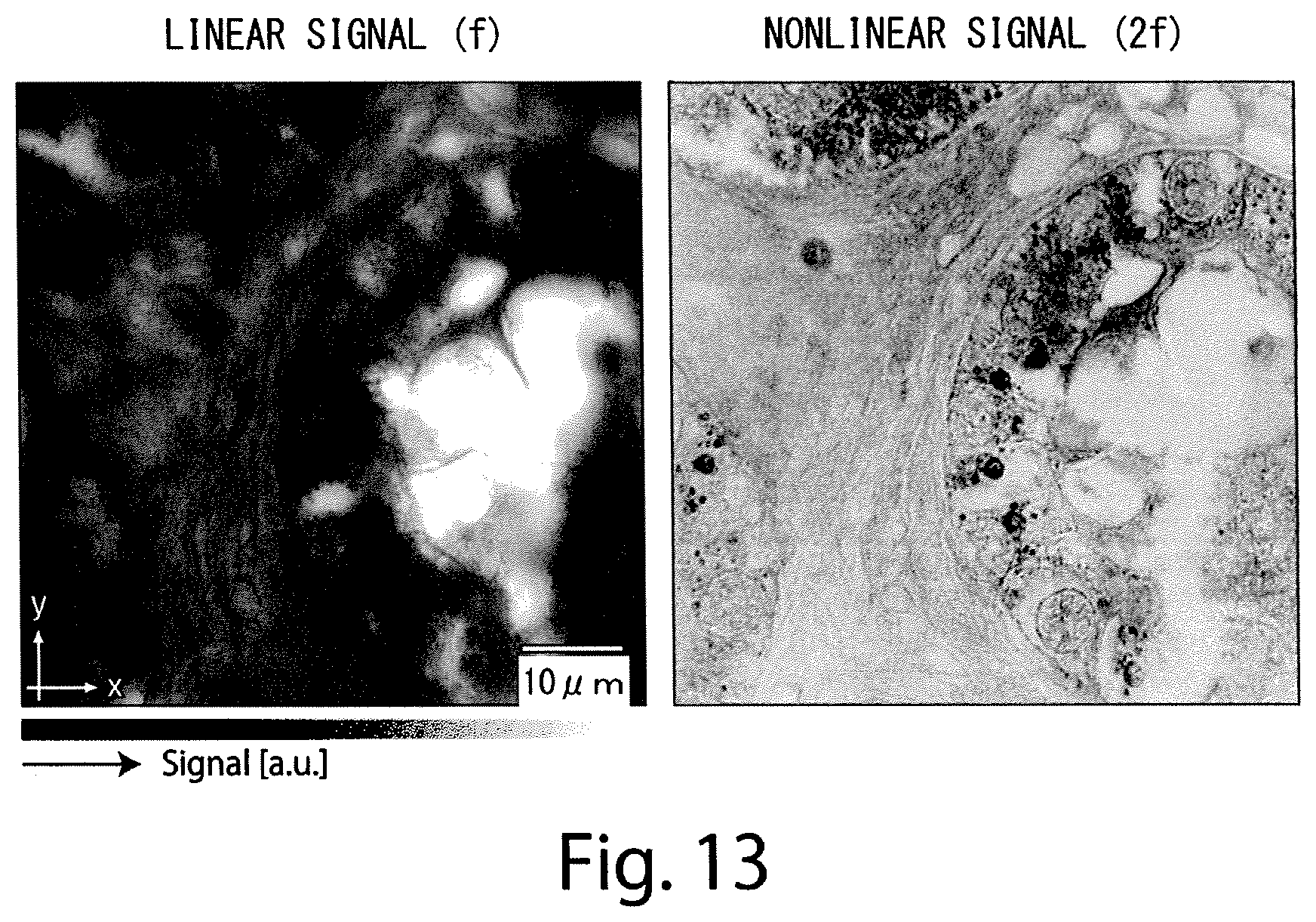 Patent US12590886 Figure 13 – Optical microscope and imaging method