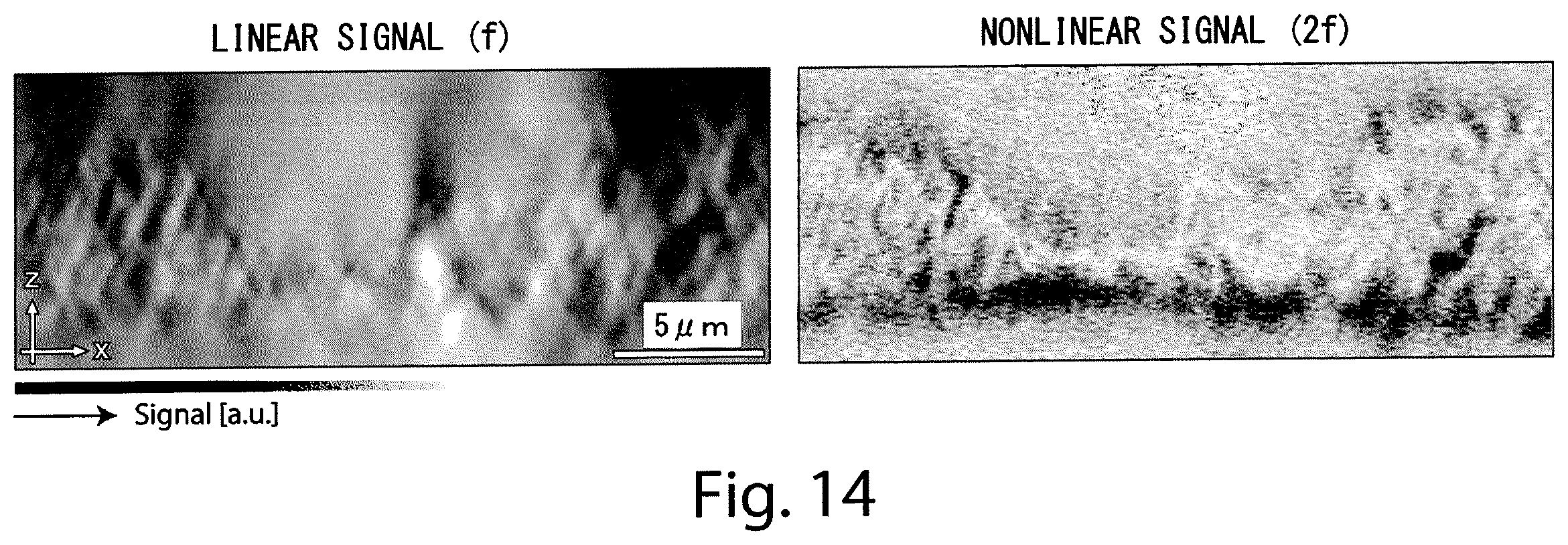 Patent US12590886 Figure 14 – Optical microscope and imaging method
