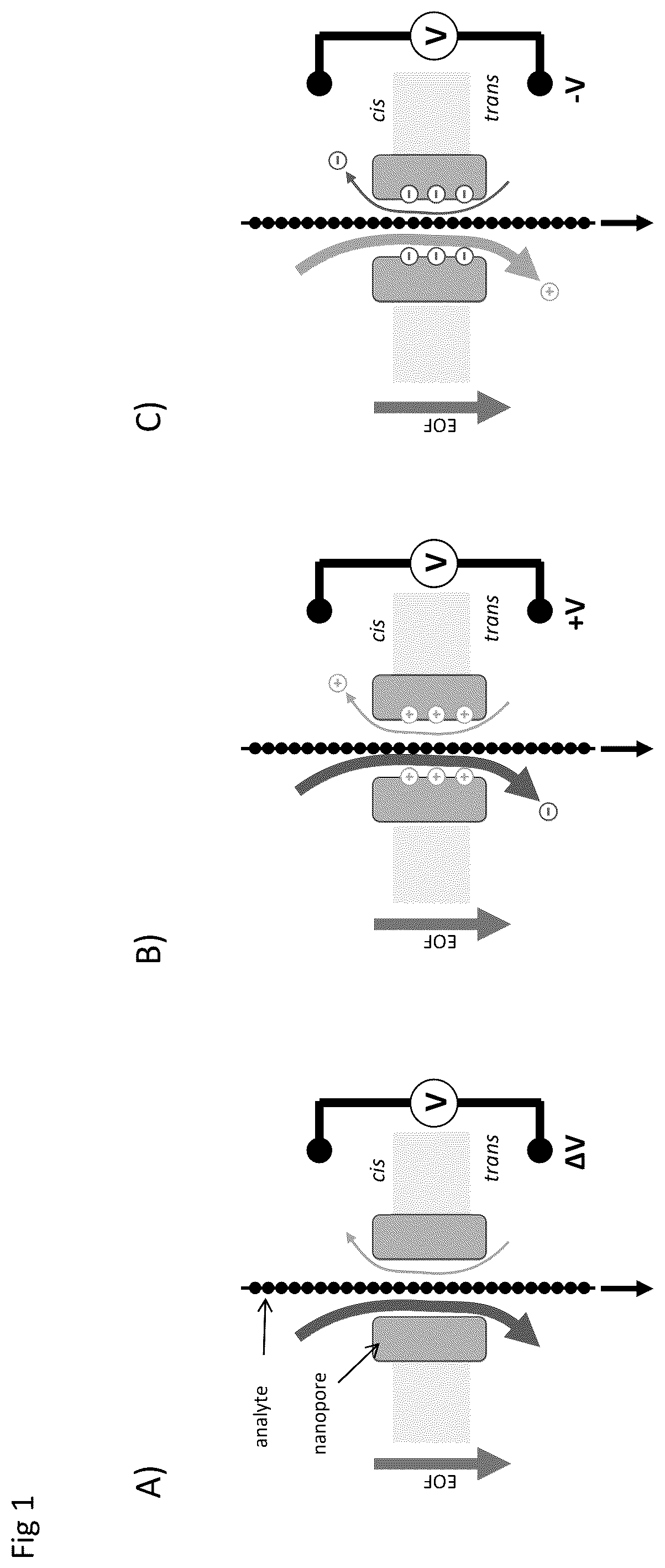 Patent US12590945 — Nanopore-based analysis of analytes — Figure 1