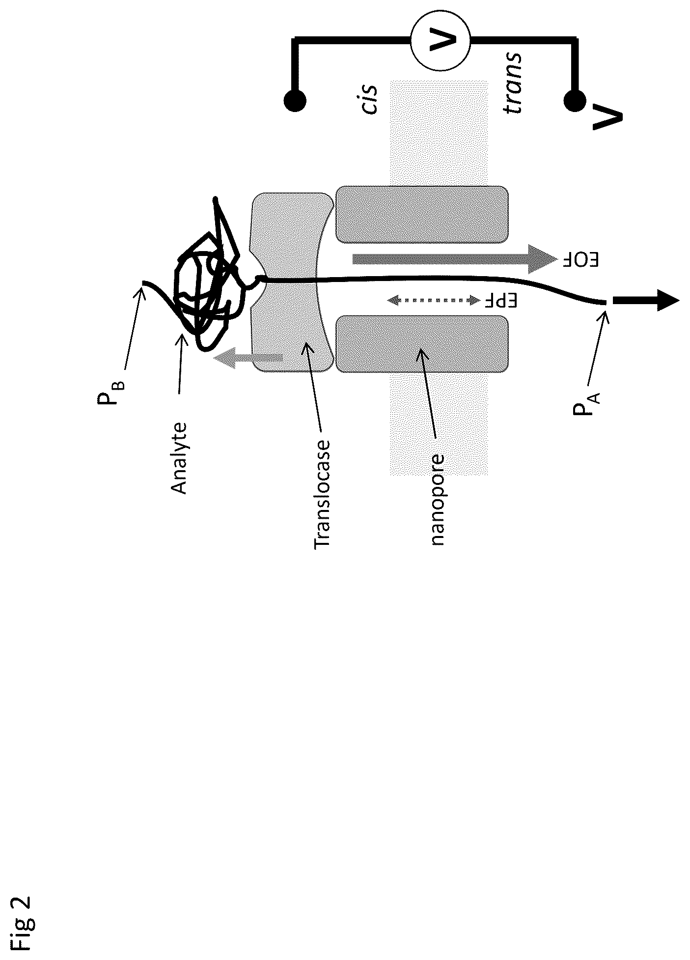 Patent US12590945 Figure 2 – Nanopore-based analysis of analytes