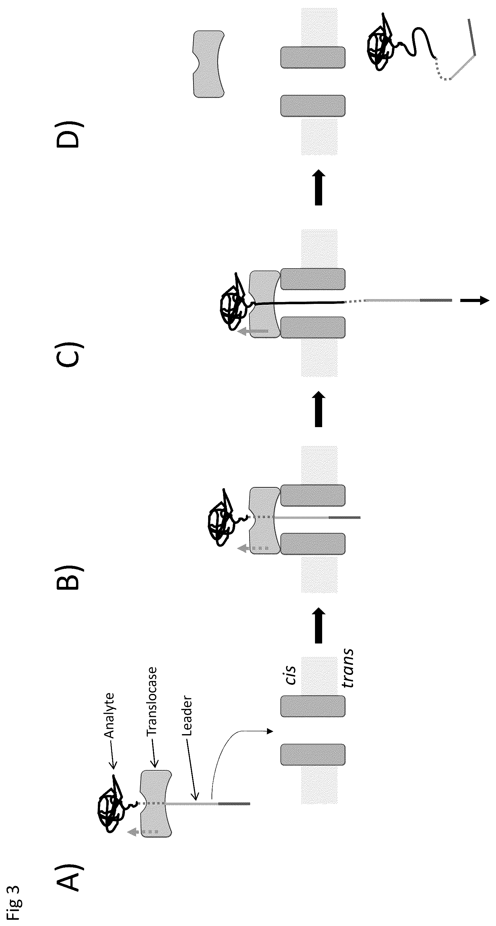 Patent US12590945 Figure 3 – Nanopore-based analysis of analytes