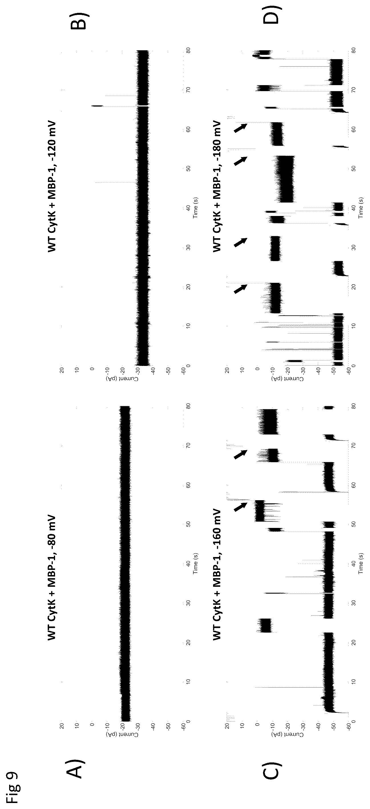Patent US12590945 Figure 9 – Nanopore-based analysis of analytes