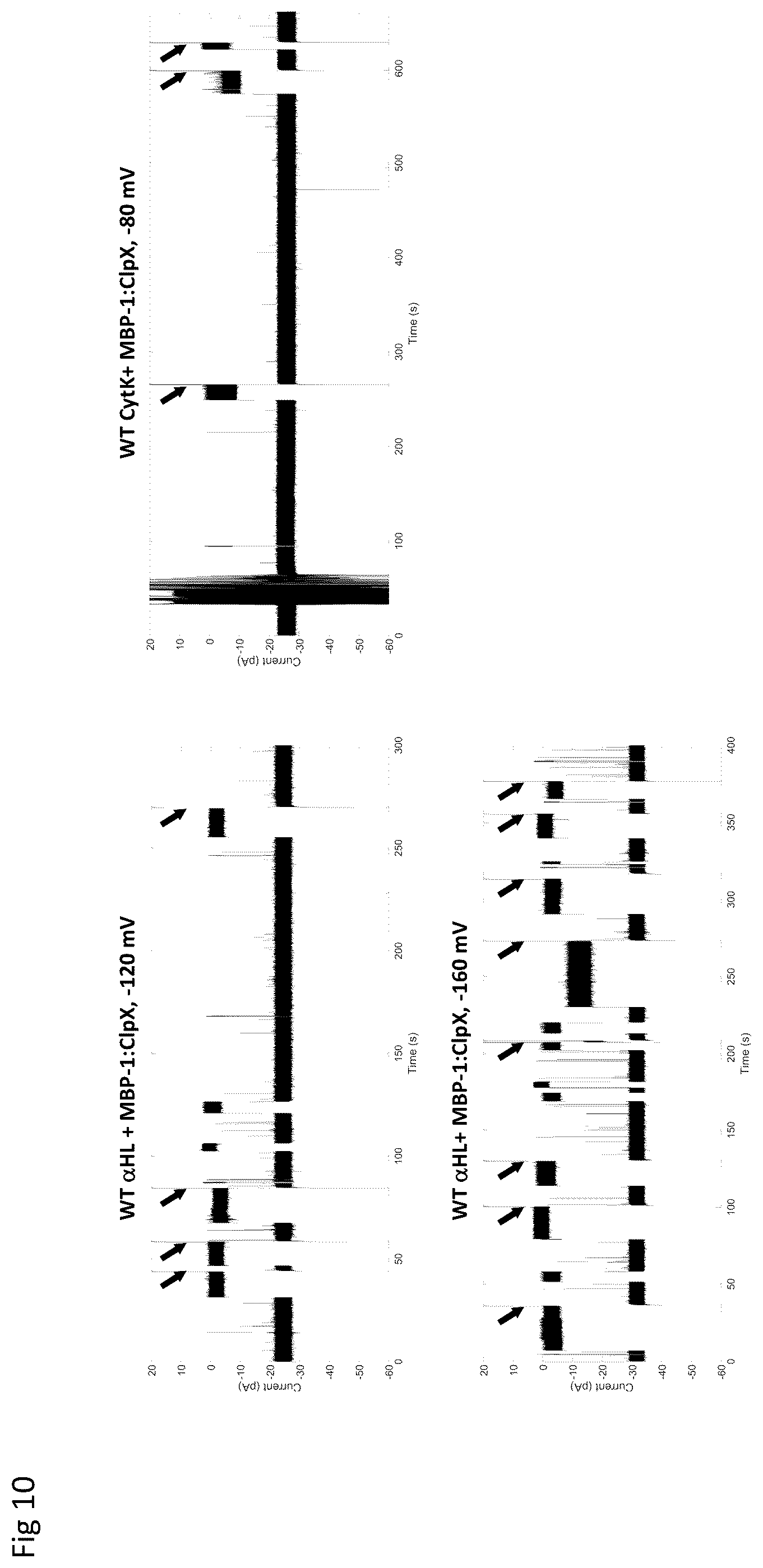 Patent US12590945 Figure 10 – Nanopore-based analysis of analytes