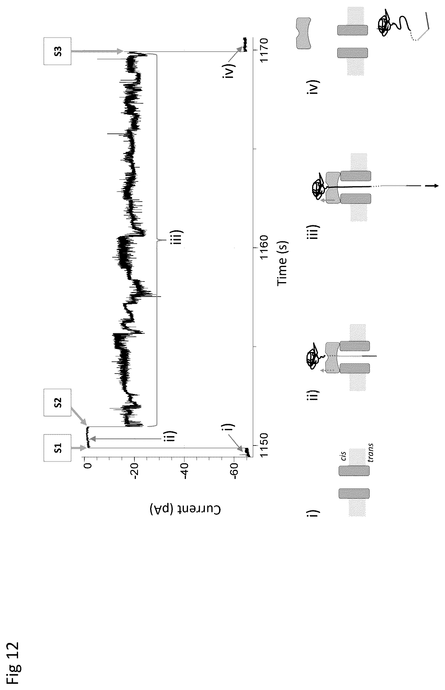 Patent US12590945 Figure 12 – Nanopore-based analysis of analytes