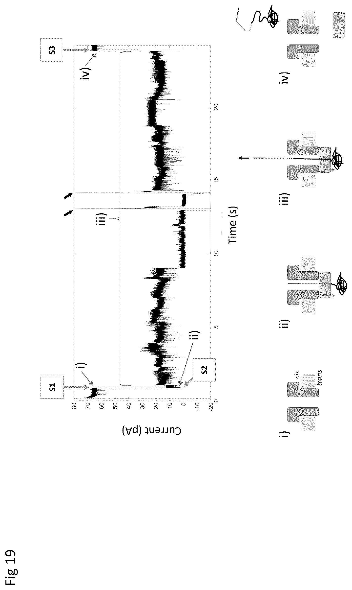 Patent US12590945 Figure 19 – Nanopore-based analysis of analytes