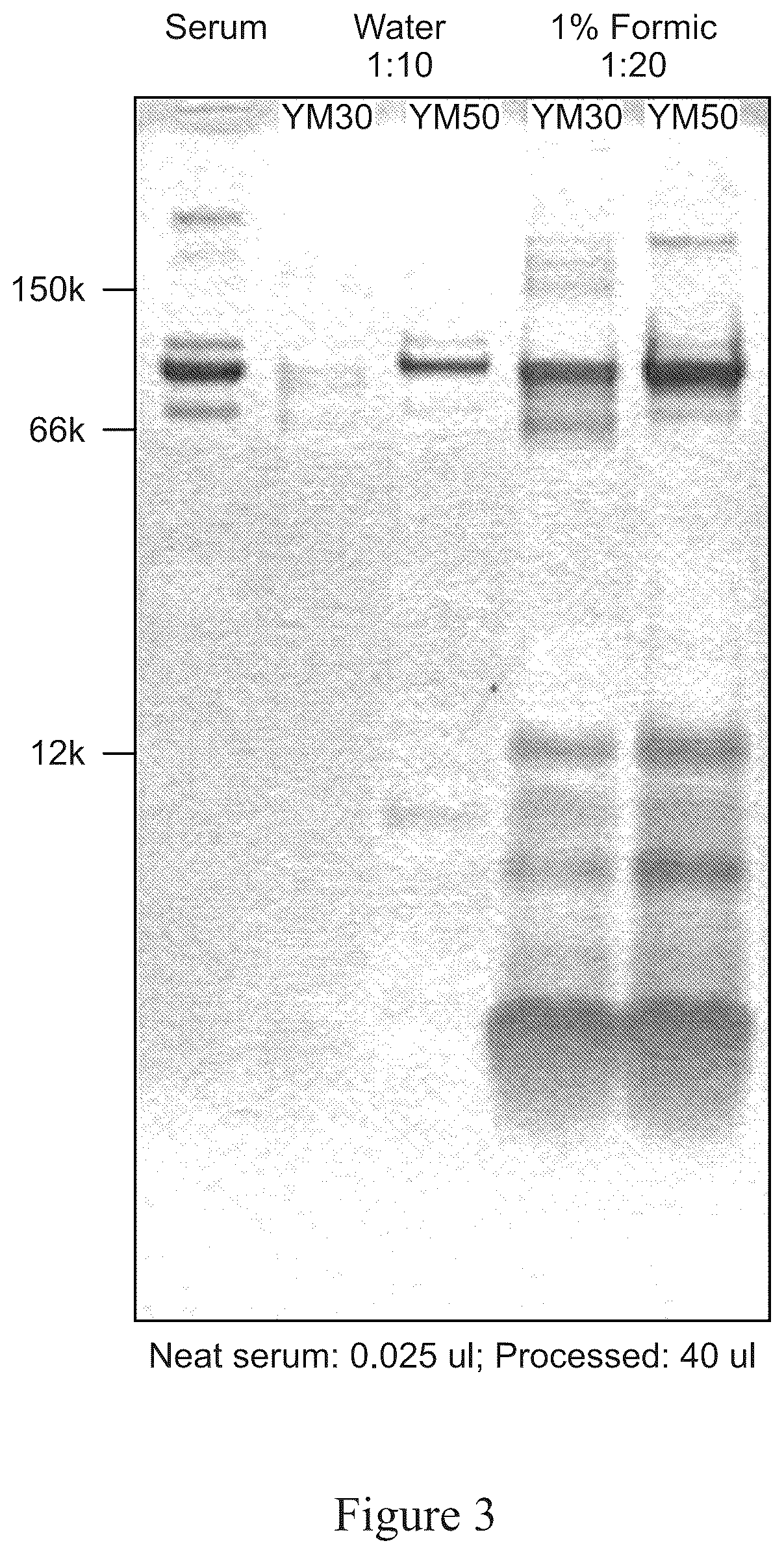 Patent US12590948 Figure 3 – Systems and methods for discovery and analysis of markers