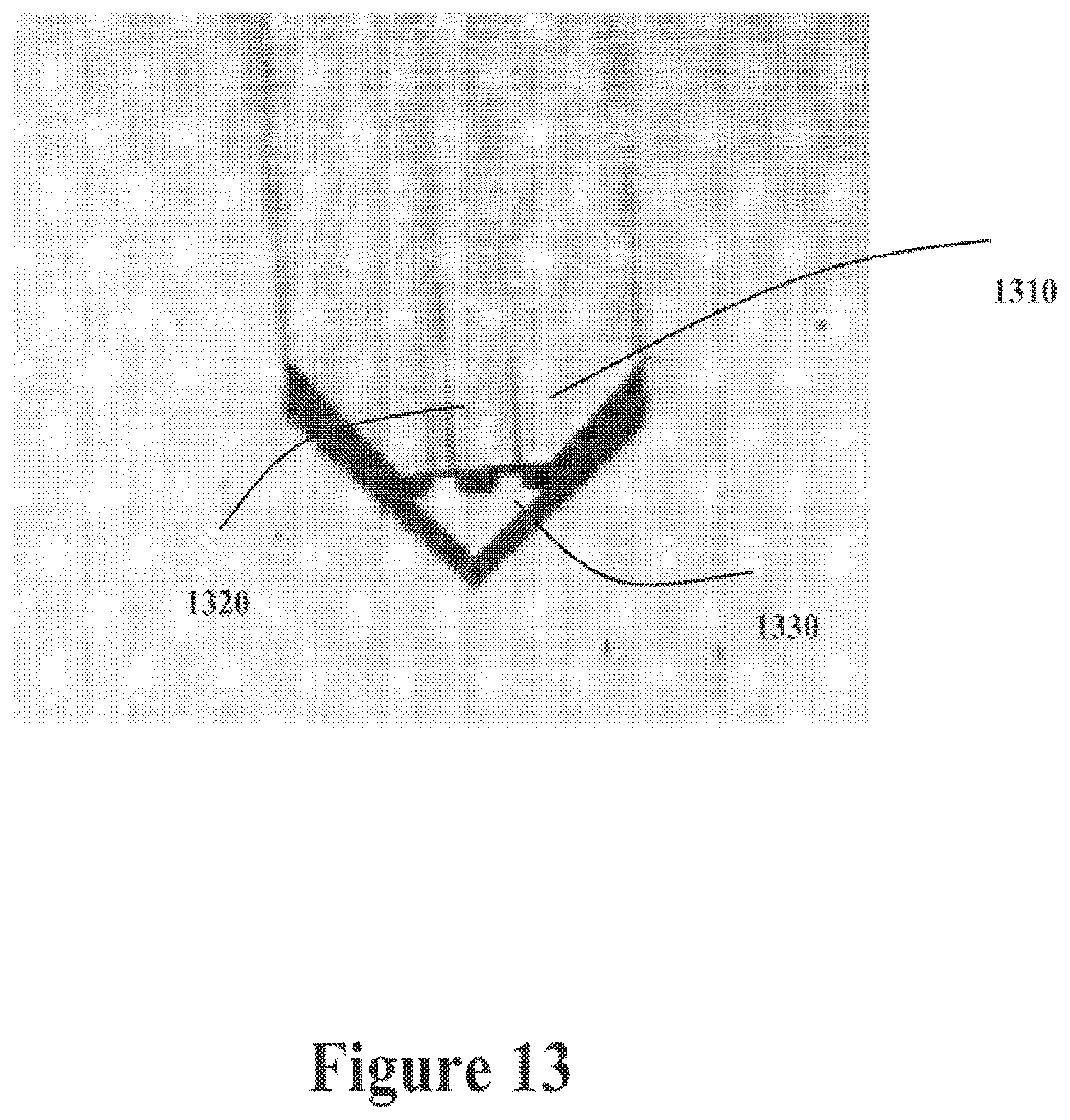 Patent US12590948 Figure 13 – Systems and methods for discovery and analysis of markers