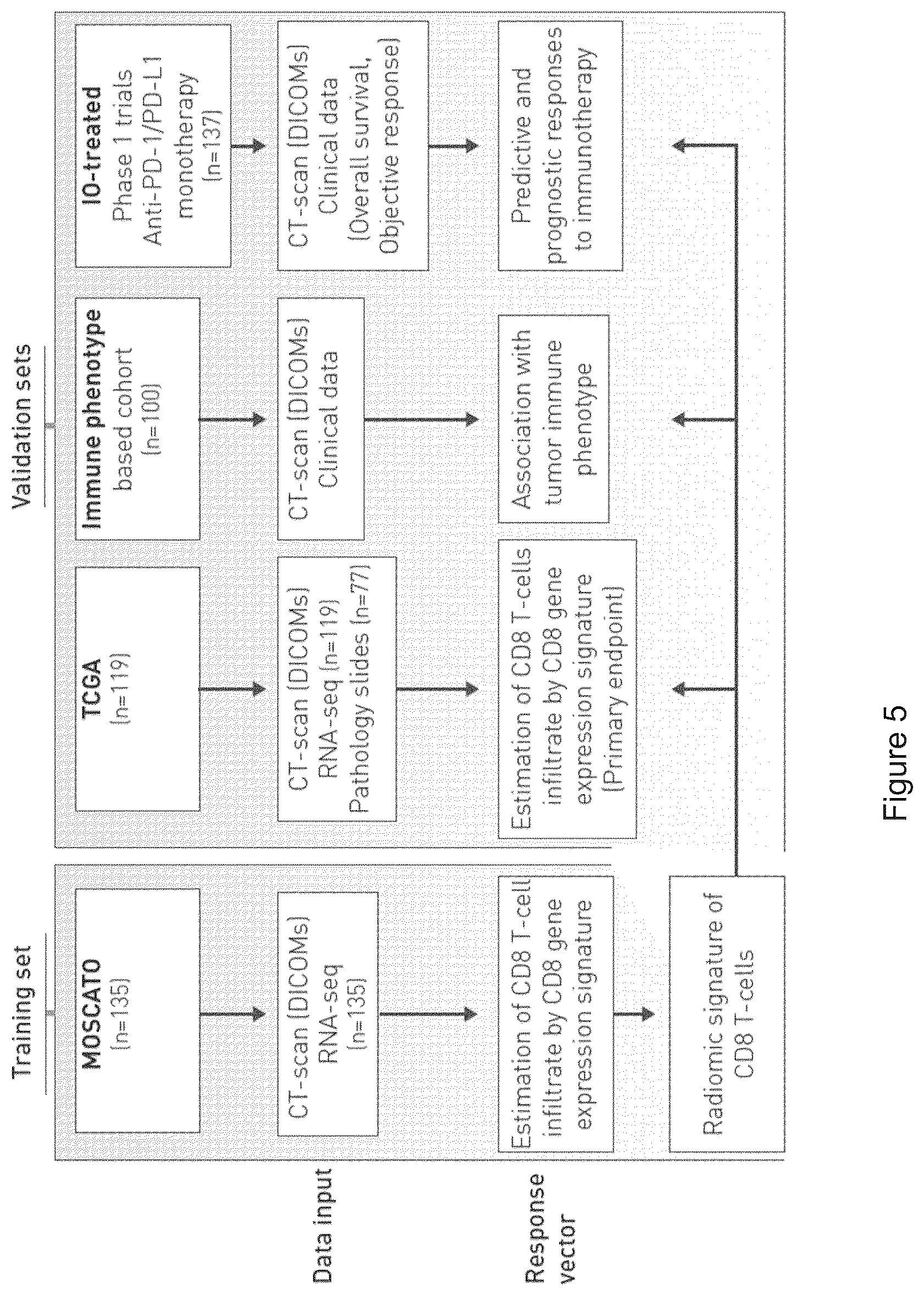 Patent US12590949 Figure 5 – Radiomics-based imaging tool to monitor tumor-lymphocyte infiltration and outcome in cancer patients treated by anti-PD-1/PD-L1