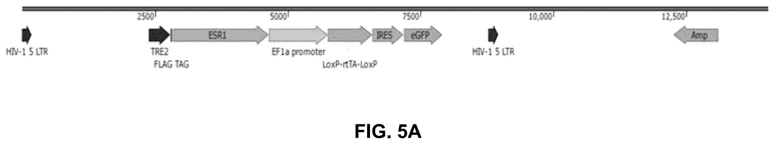 Patent US12590950 Figure 11 – Methods for predicting ER-mediated DNA damage