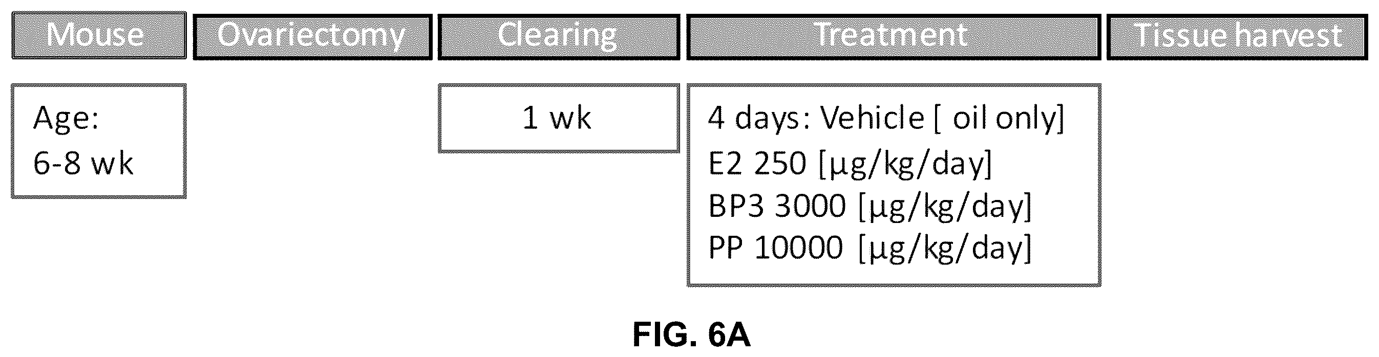 Patent US12590950 Figure 14 – Methods for predicting ER-mediated DNA damage