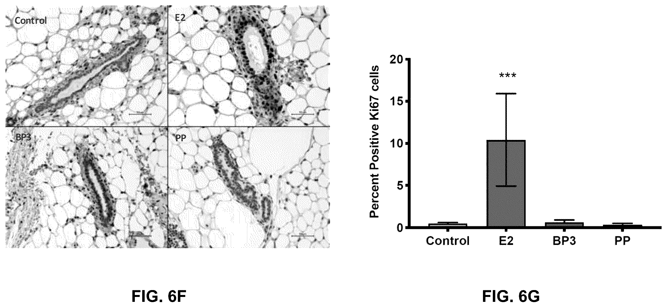 Patent US12590950 Figure 17 – Methods for predicting ER-mediated DNA damage