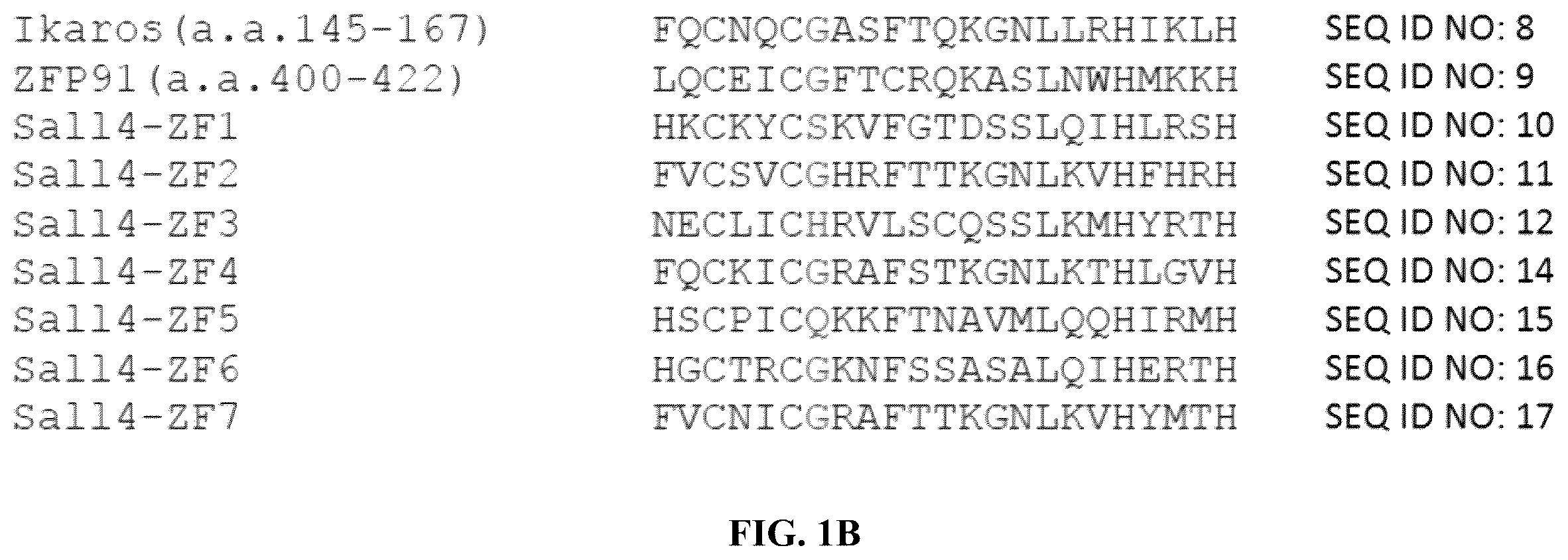 Patent US12590953 Figure 2 – Methods for screening cereblon modifying compounds