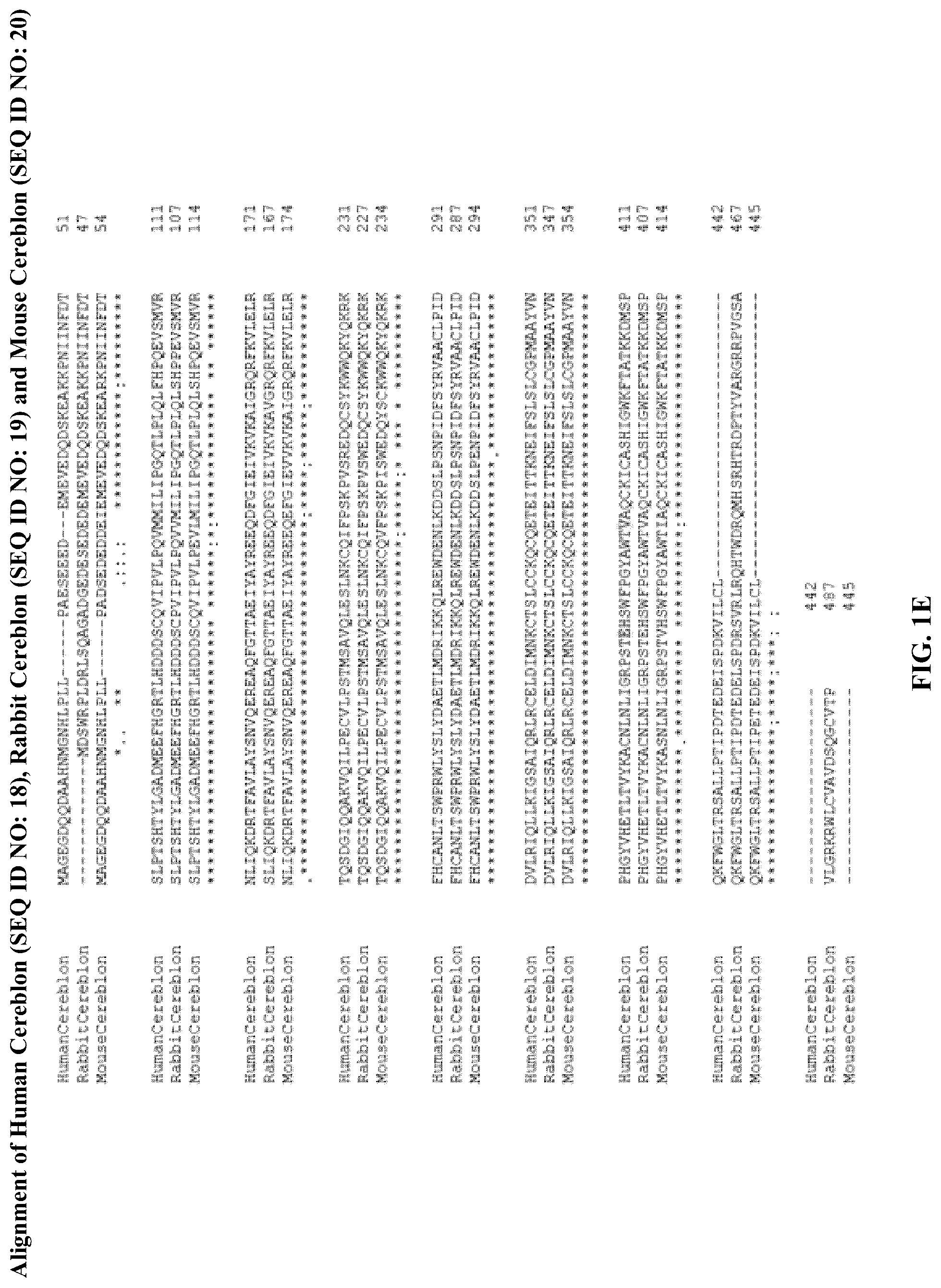 Patent US12590953 Figure 5 – Methods for screening cereblon modifying compounds