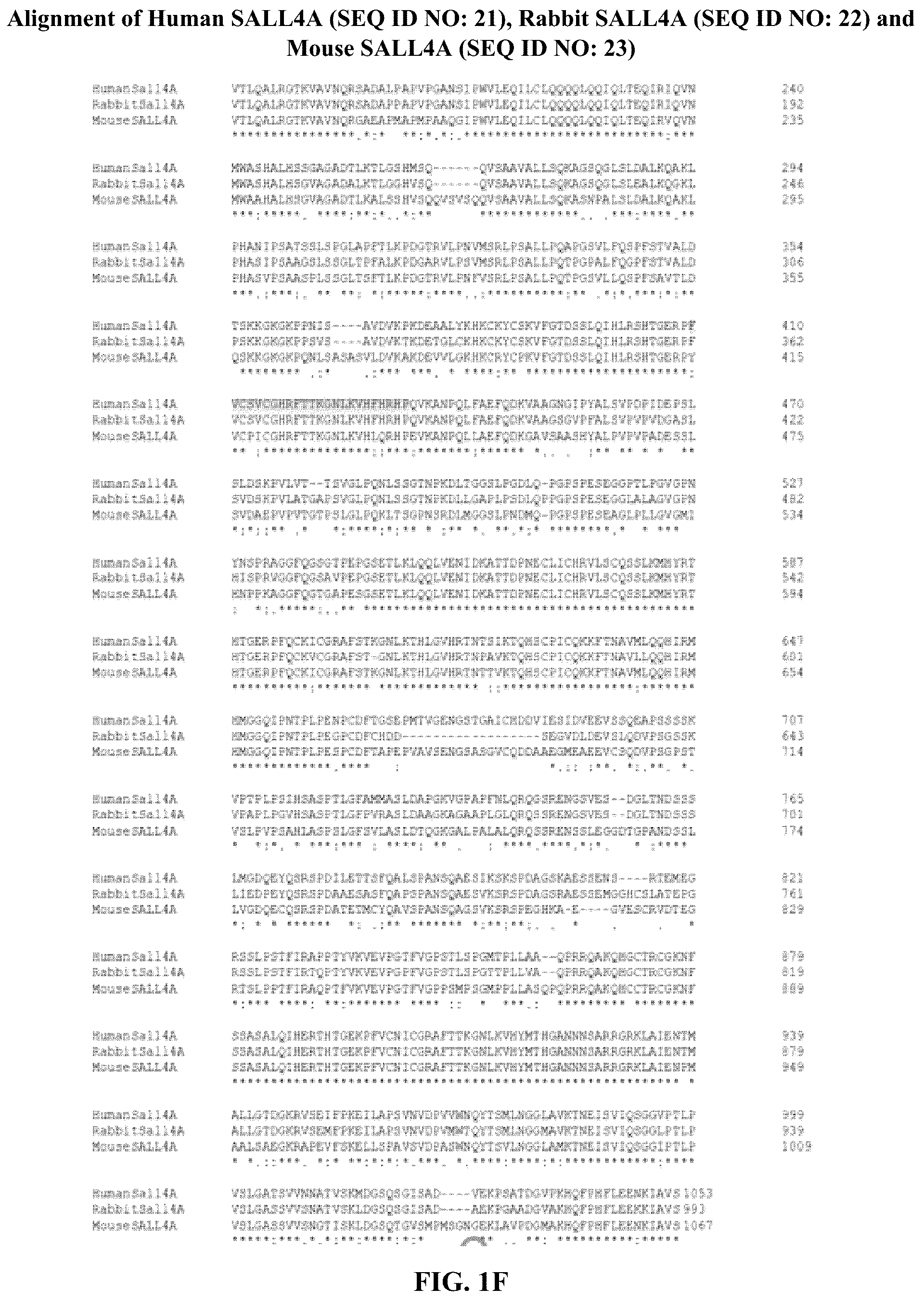 Patent US12590953 Figure 6 – Methods for screening cereblon modifying compounds