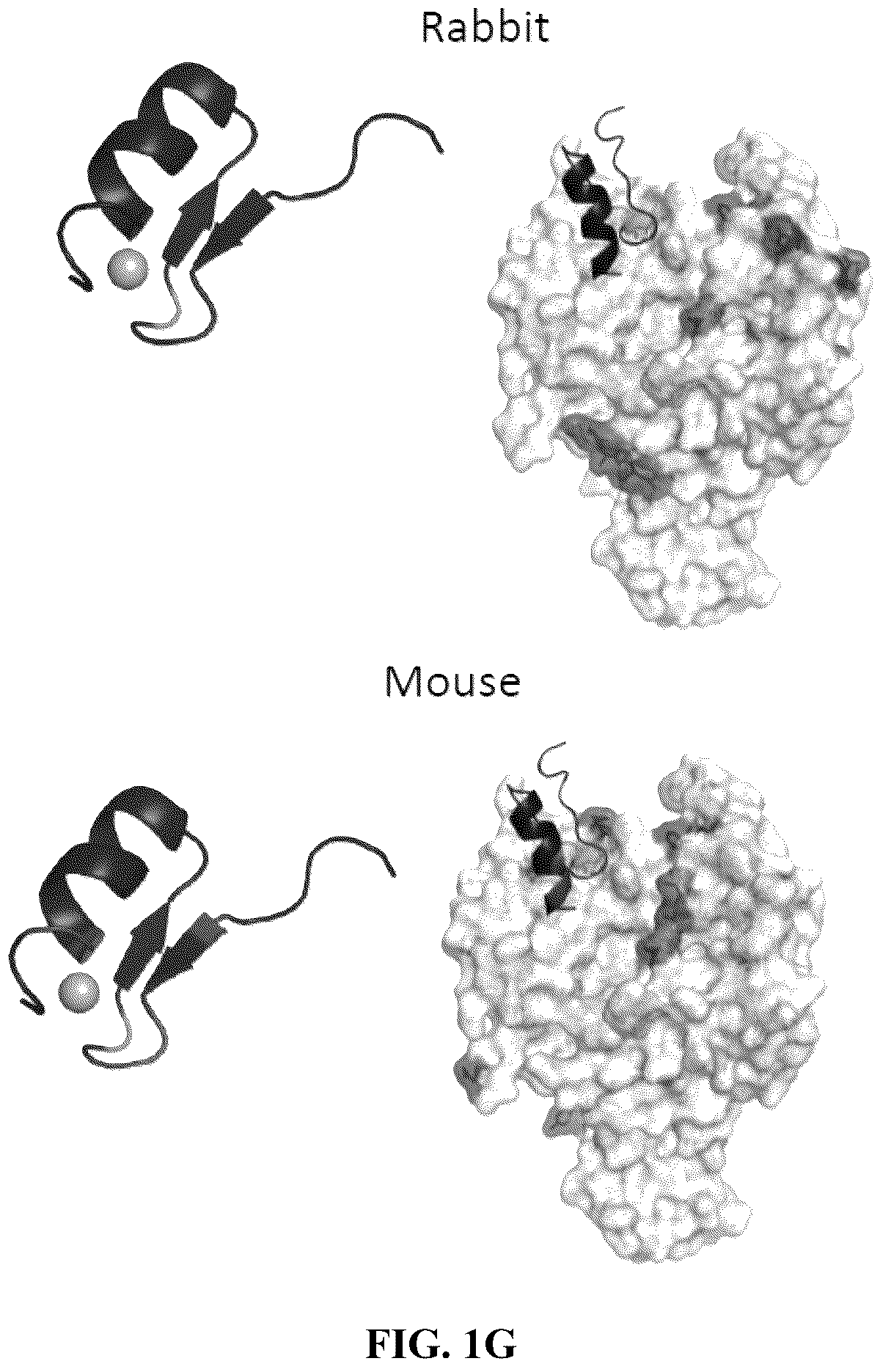 Patent US12590953 Figure 7 – Methods for screening cereblon modifying compounds