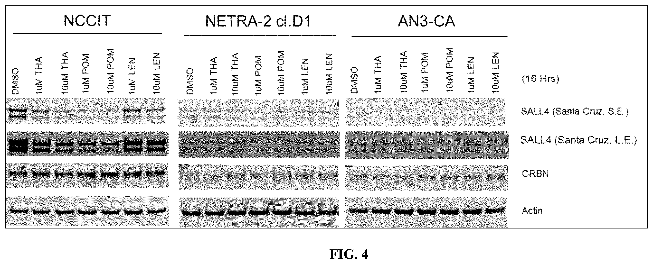 Patent US12590953 Figure 11 – Methods for screening cereblon modifying compounds