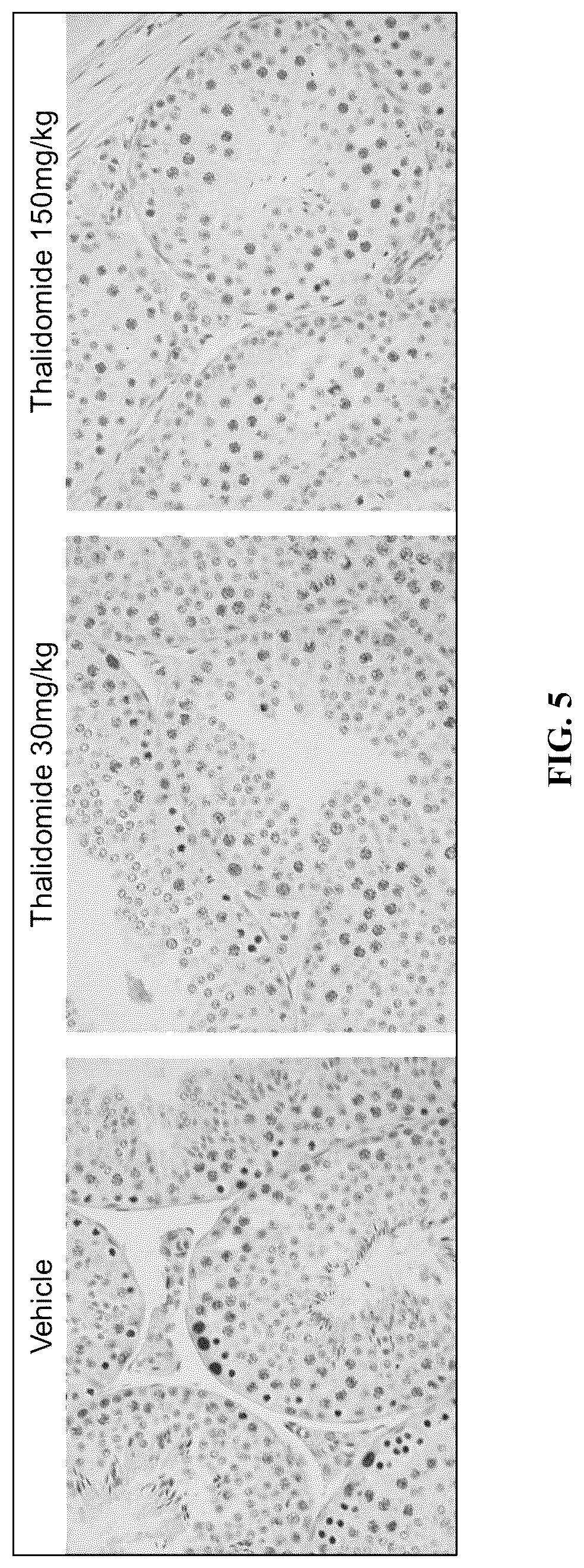 Patent US12590953 Figure 12 – Methods for screening cereblon modifying compounds