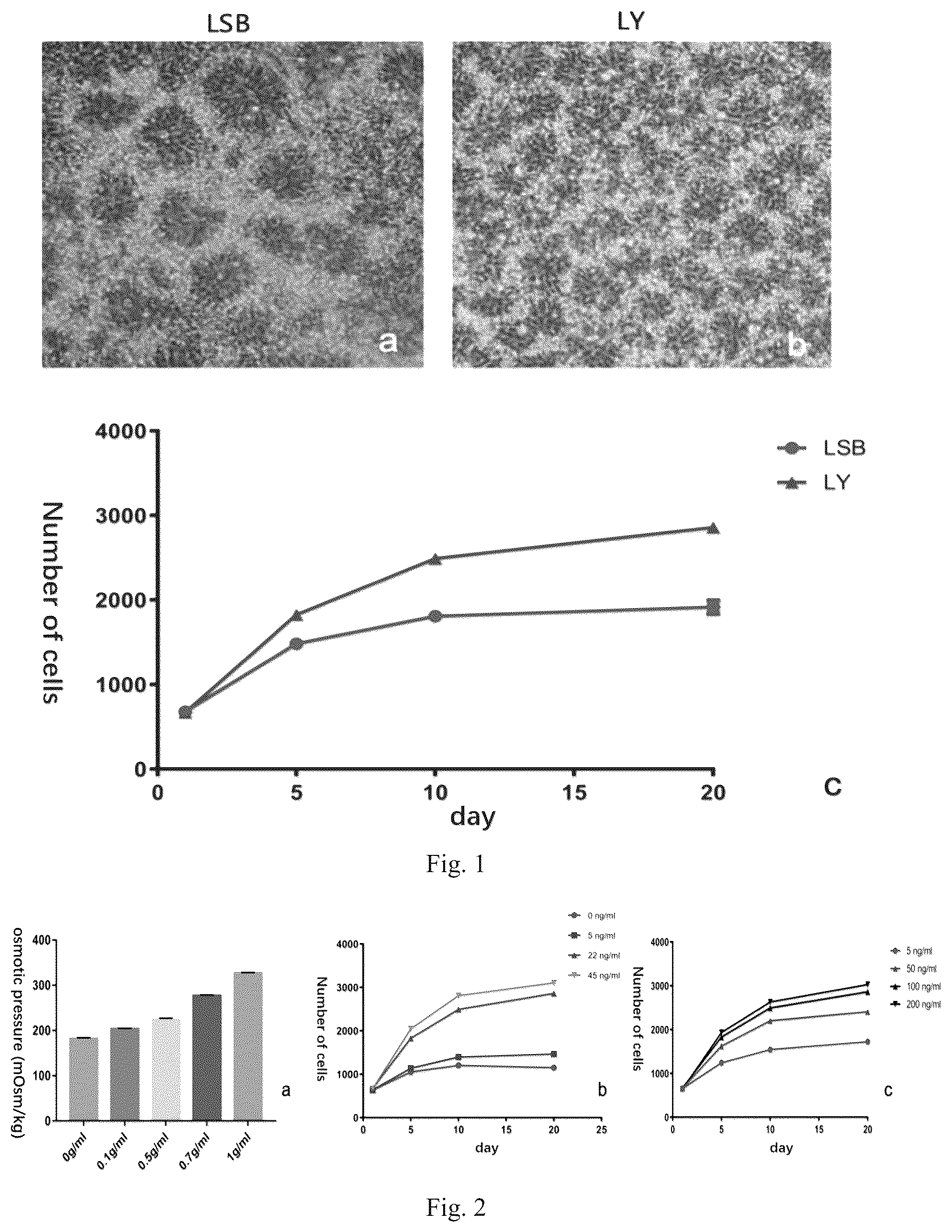Patent US12590954 Figure 1 – Neural stem cell-induced differential medium and induction differentiation method