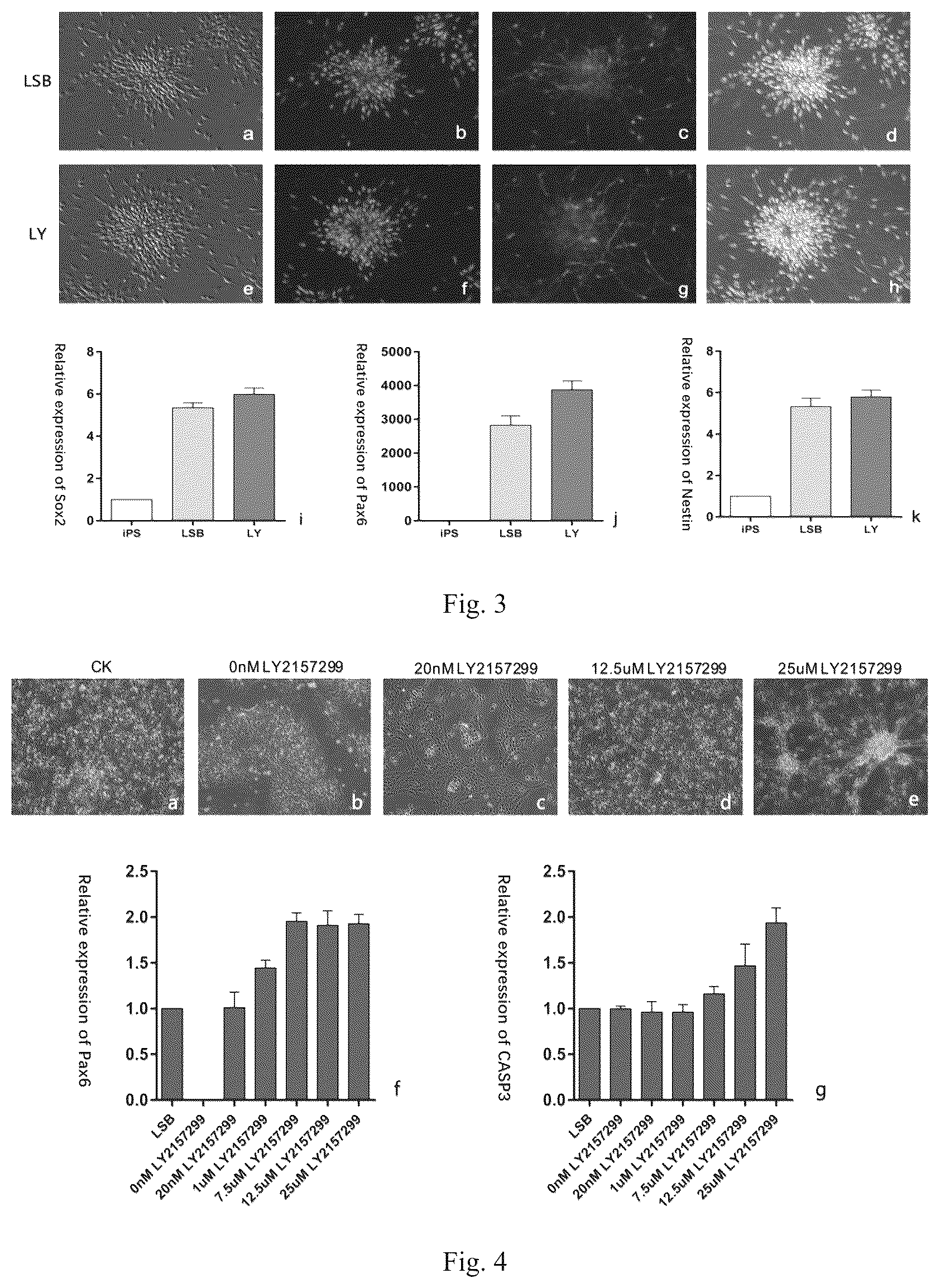 Patent US12590954 Figure 2 – Neural stem cell-induced differential medium and induction differentiation method