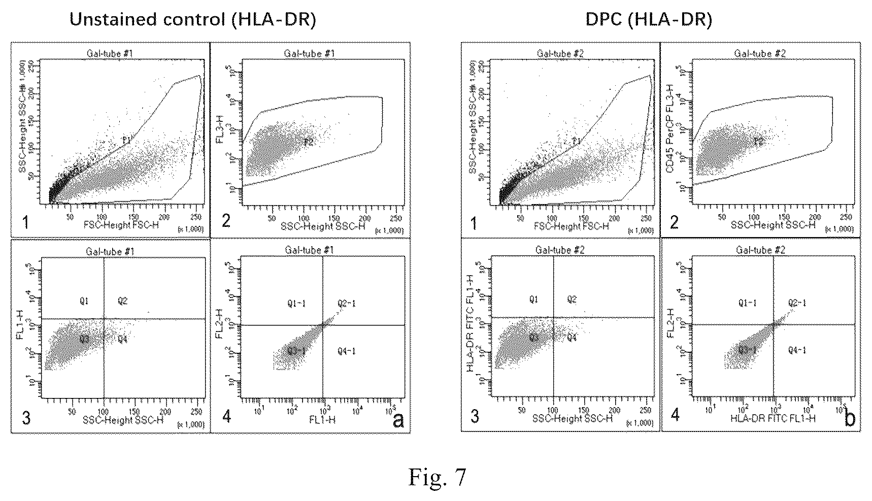 Patent US12590954 Figure 4 – Neural stem cell-induced differential medium and induction differentiation method
