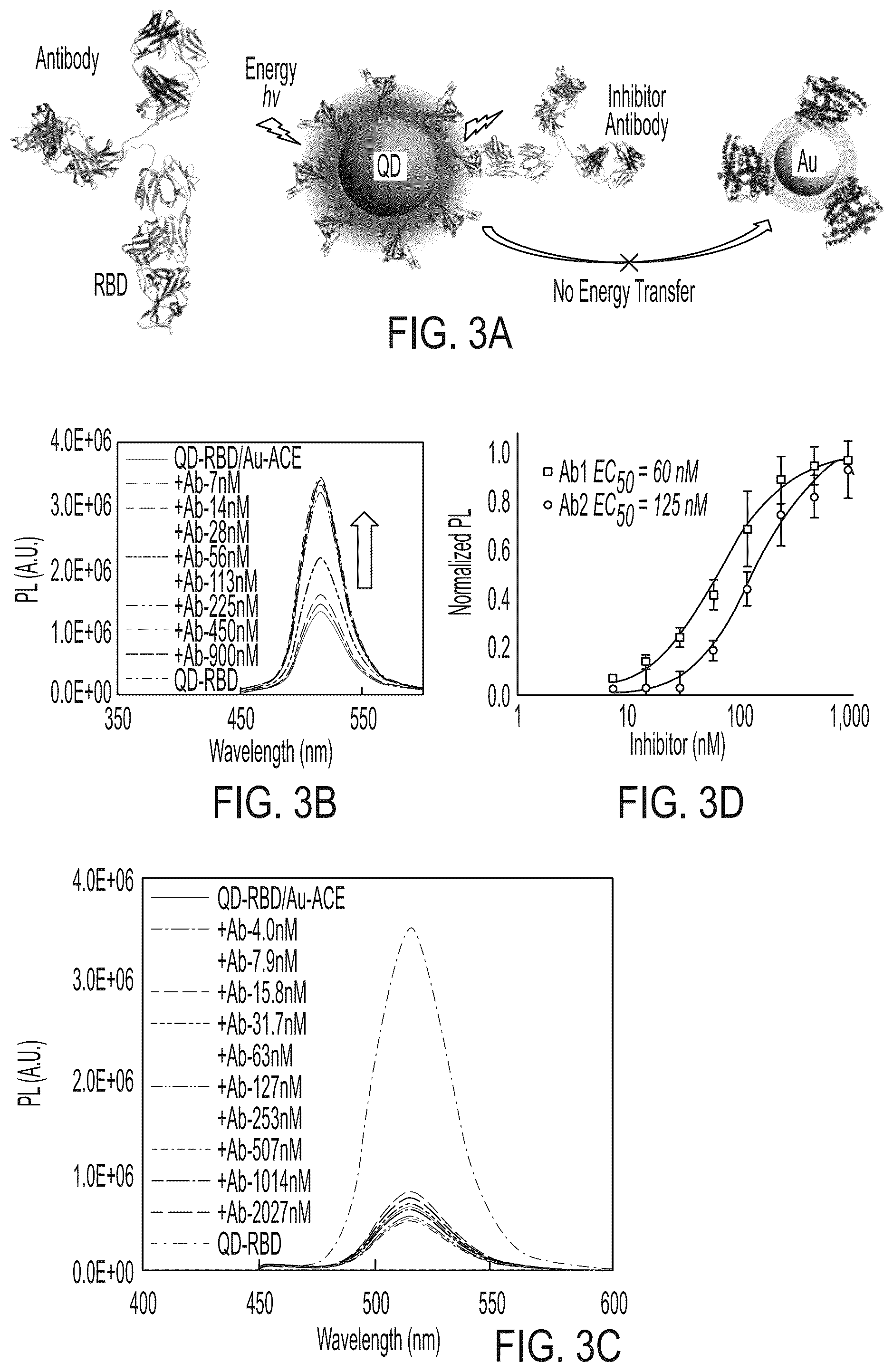 Patent US12590961 Figure 6 – Quantum dot conjugated virus spike protein for cell-based bio-sensing systems and drug screening