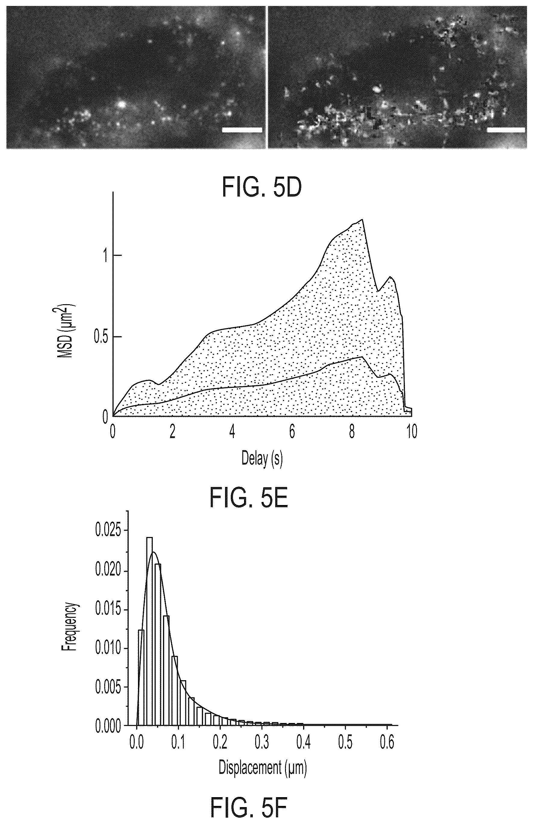 Patent US12590961 Figure 11 – Quantum dot conjugated virus spike protein for cell-based bio-sensing systems and drug screening