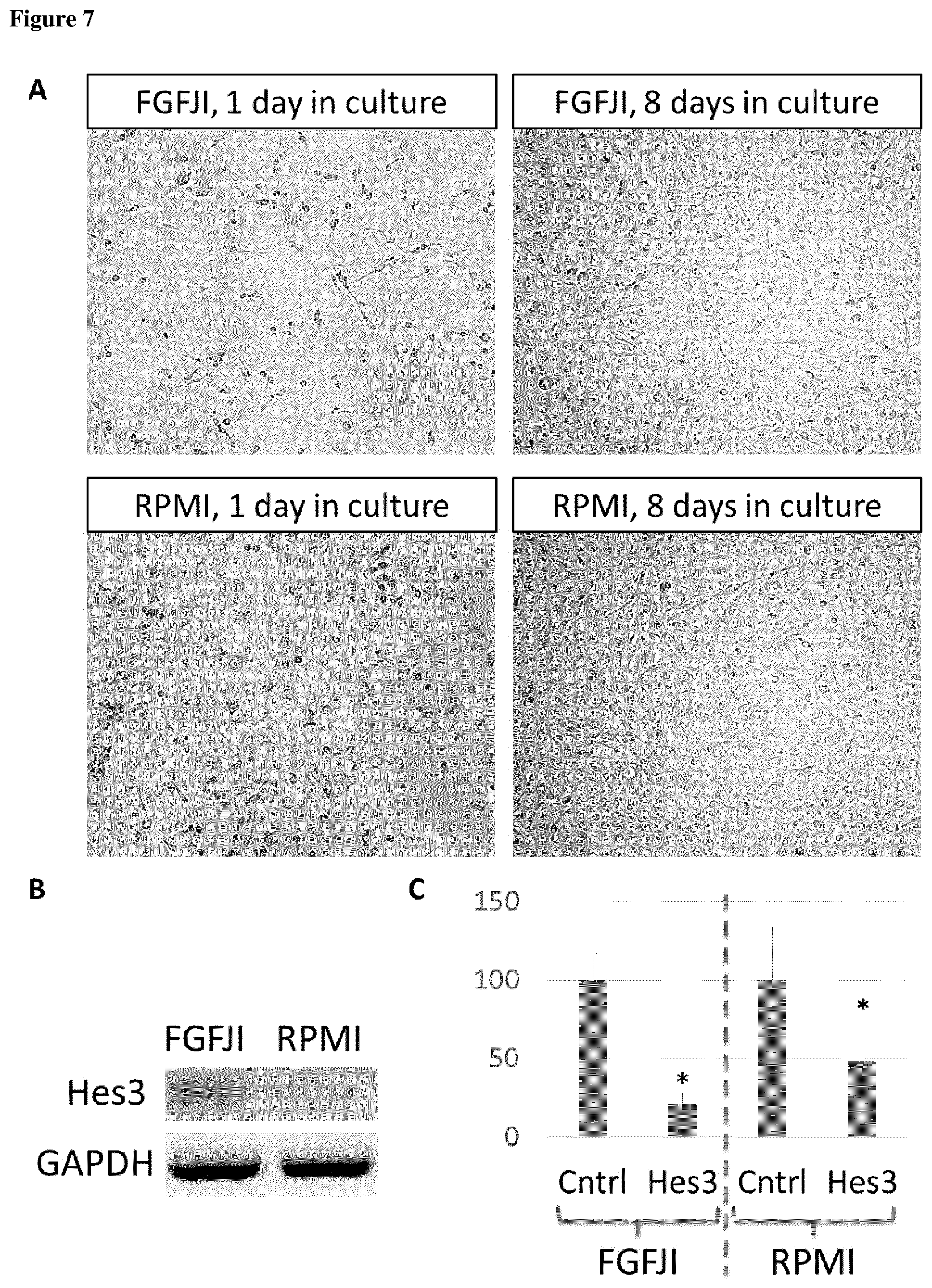 Patent US12590963 Figure 7 – Anti-cancer treatment of preselected subjects and screening methods to identify susceptible subjects