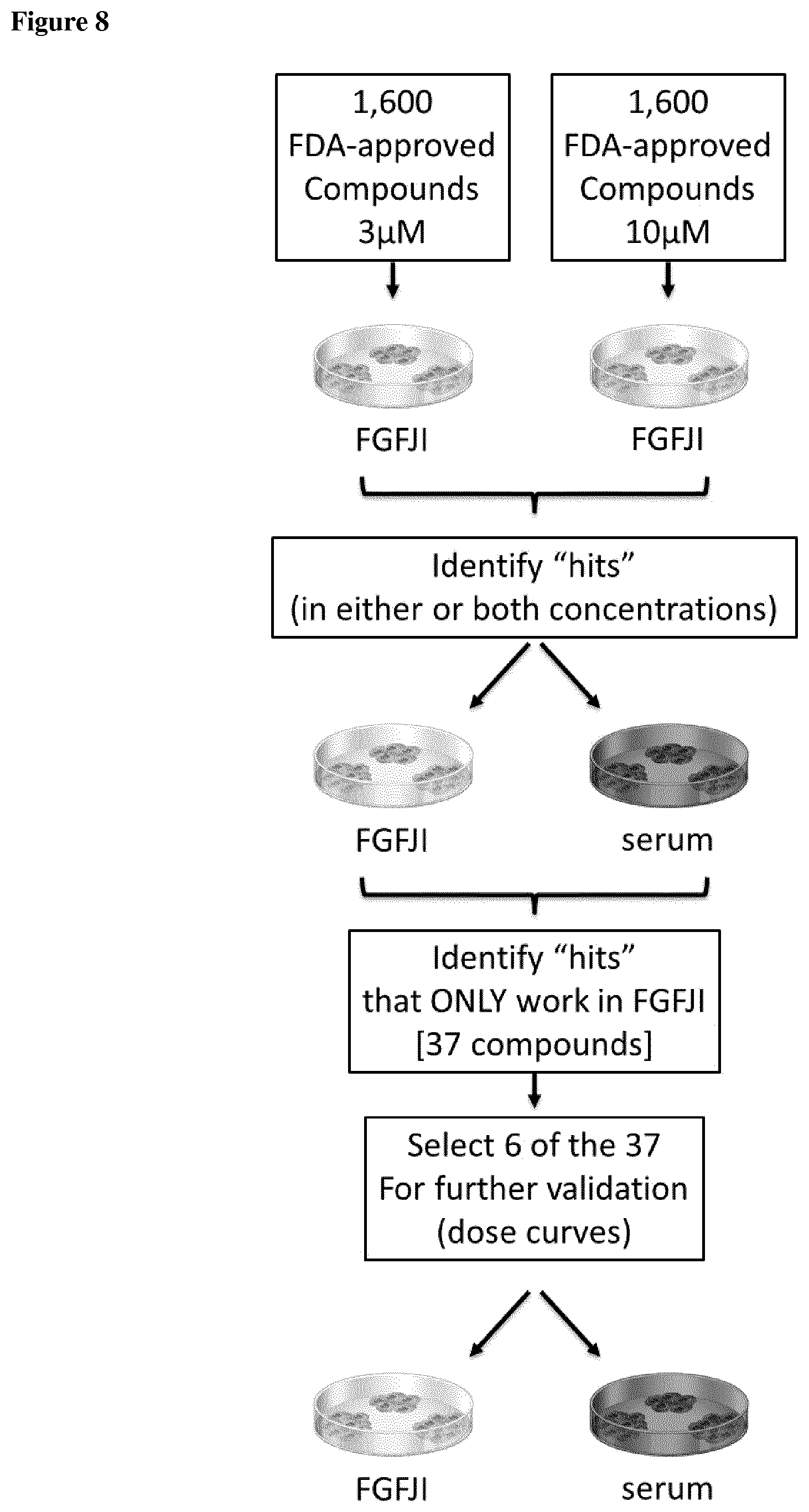 Patent US12590963 Figure 8 – Anti-cancer treatment of preselected subjects and screening methods to identify susceptible subjects