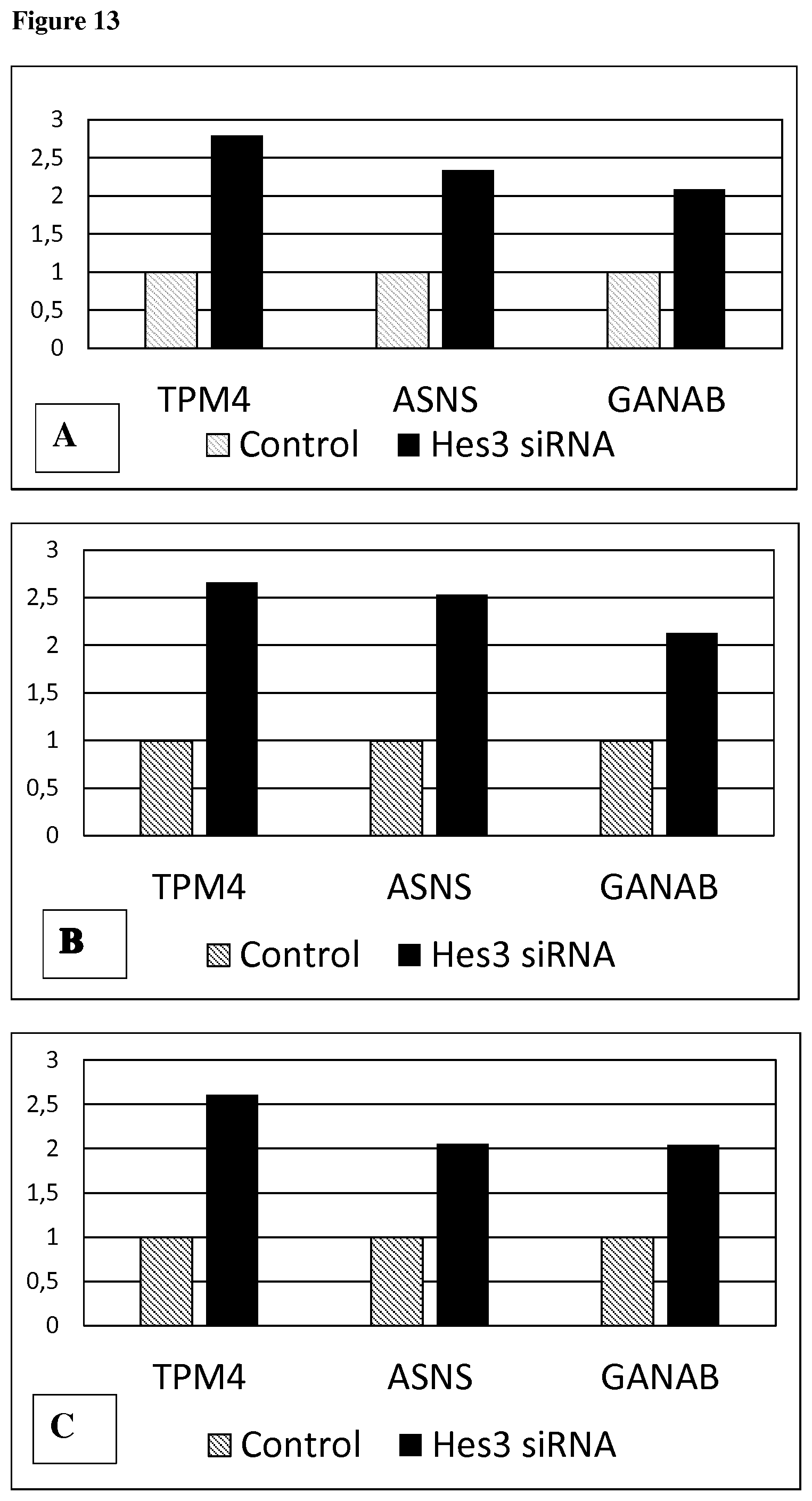 Patent US12590963 Figure 13 – Anti-cancer treatment of preselected subjects and screening methods to identify susceptible subjects