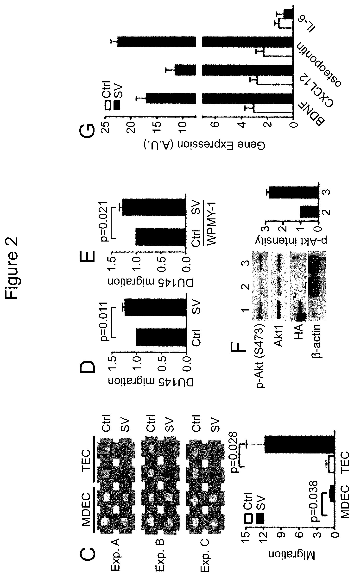 Patent US12590965 Figure 5 – Palmitoyl protein biomarkers in purified extracellular vesicles for early identification of clinically significant prostate cancer