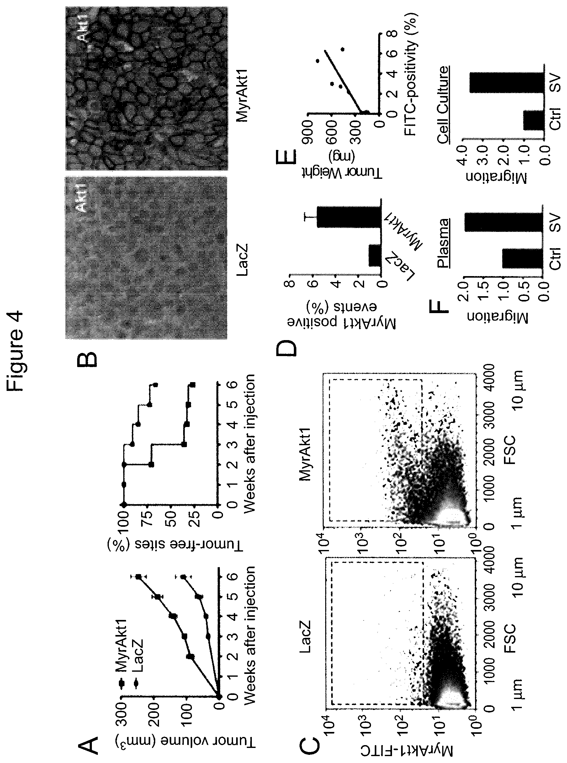 Patent US12590965 Figure 8 – Palmitoyl protein biomarkers in purified extracellular vesicles for early identification of clinically significant prostate cancer