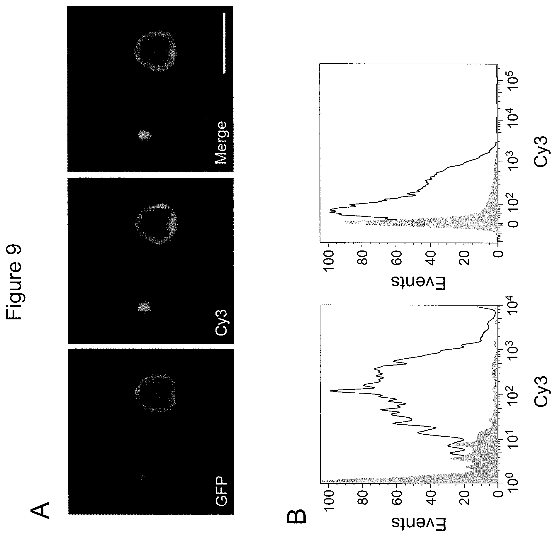 Patent US12590965 Figure 16 – Palmitoyl protein biomarkers in purified extracellular vesicles for early identification of clinically significant prostate cancer