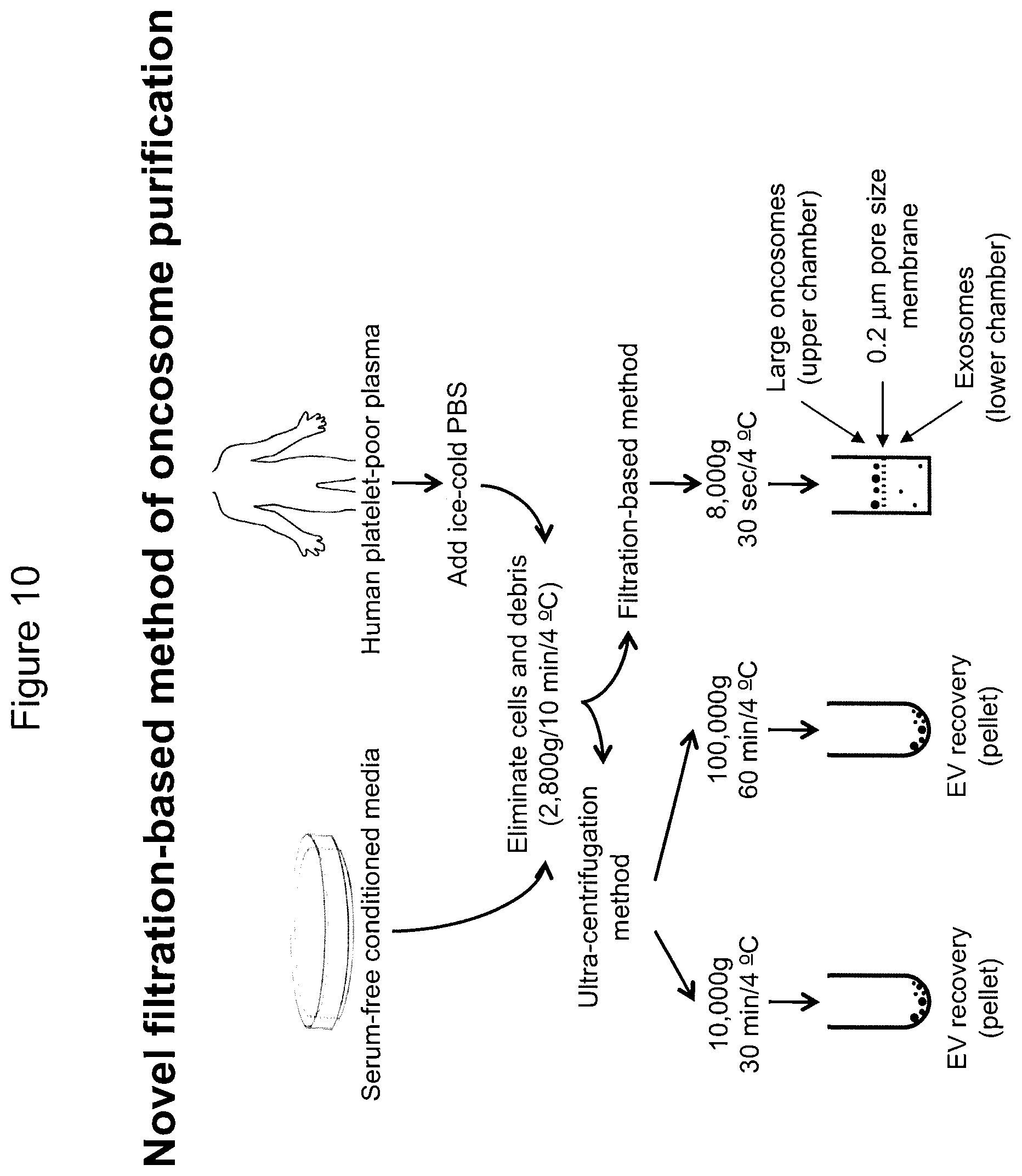 Patent US12590965 Figure 17 – Palmitoyl protein biomarkers in purified extracellular vesicles for early identification of clinically significant prostate cancer