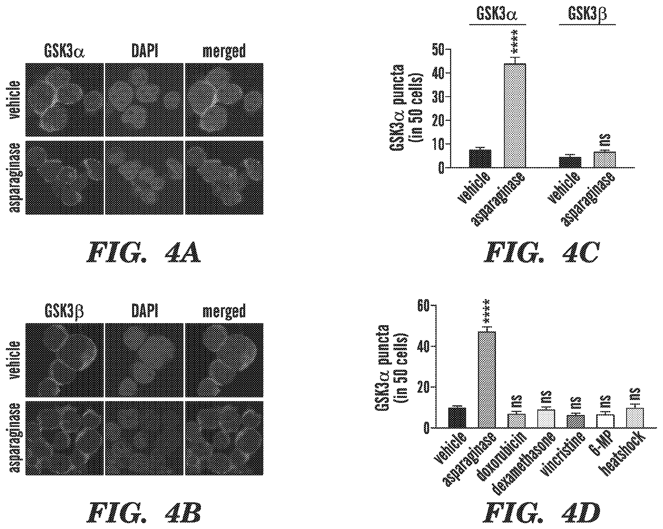 Patent US12590966 Figure 5 – Method for treating cancer